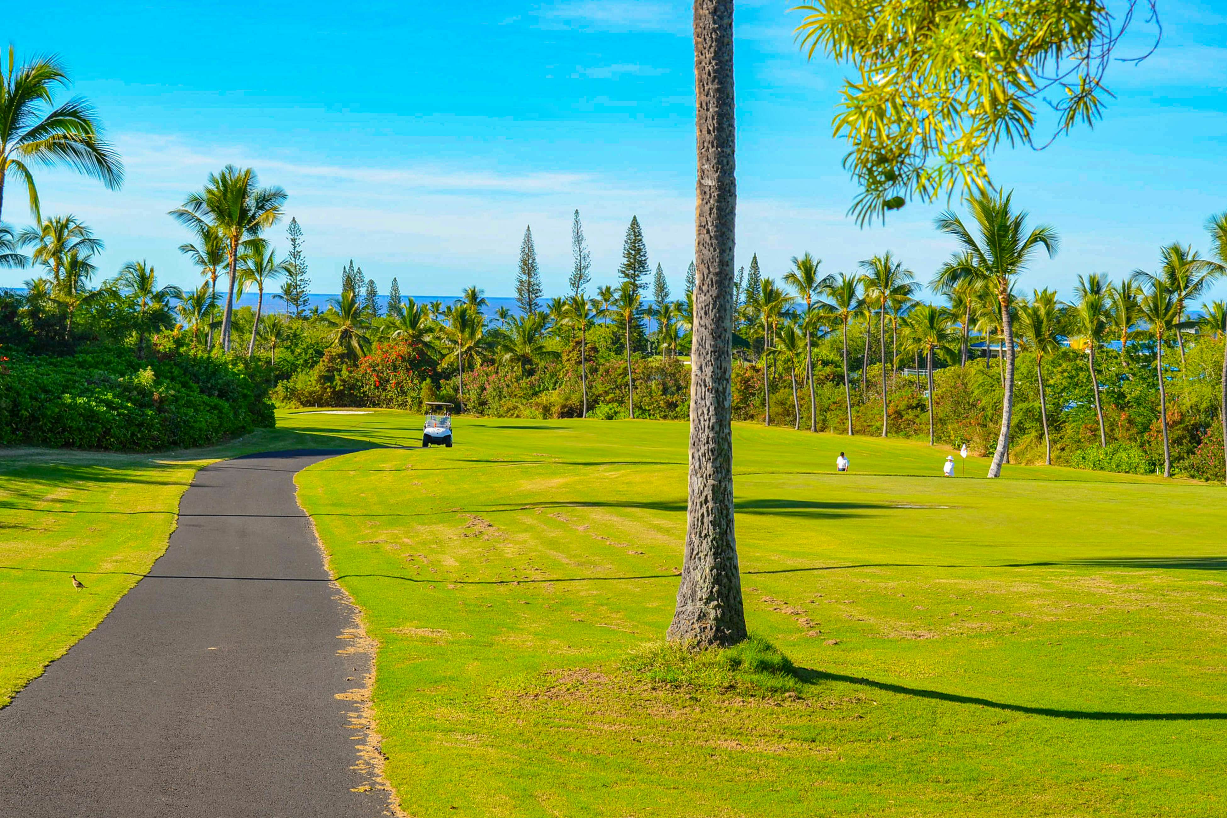 Tropical Getaway at the Shores Waikoloa Beach #138