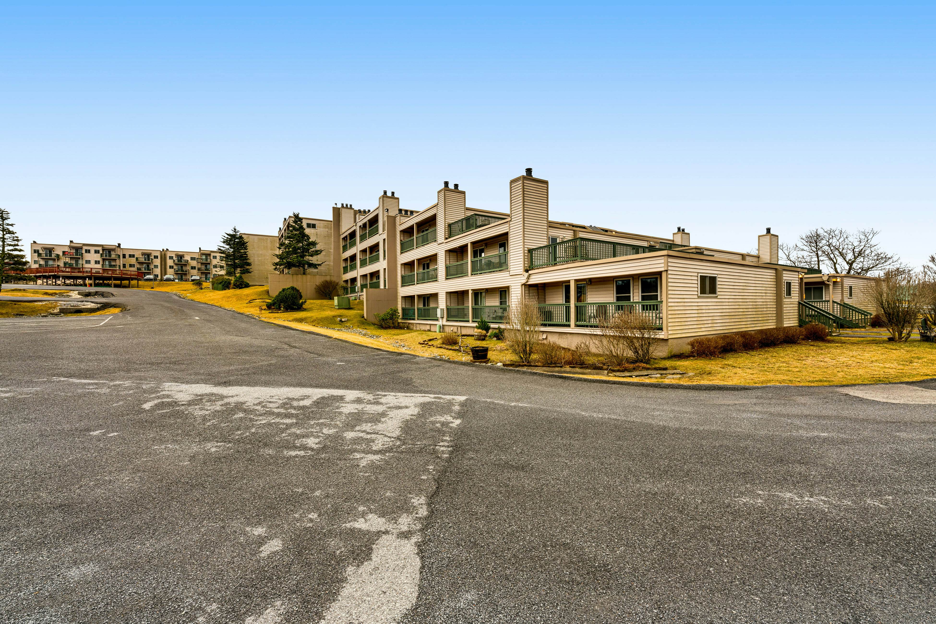 Serene Green Sanctuary