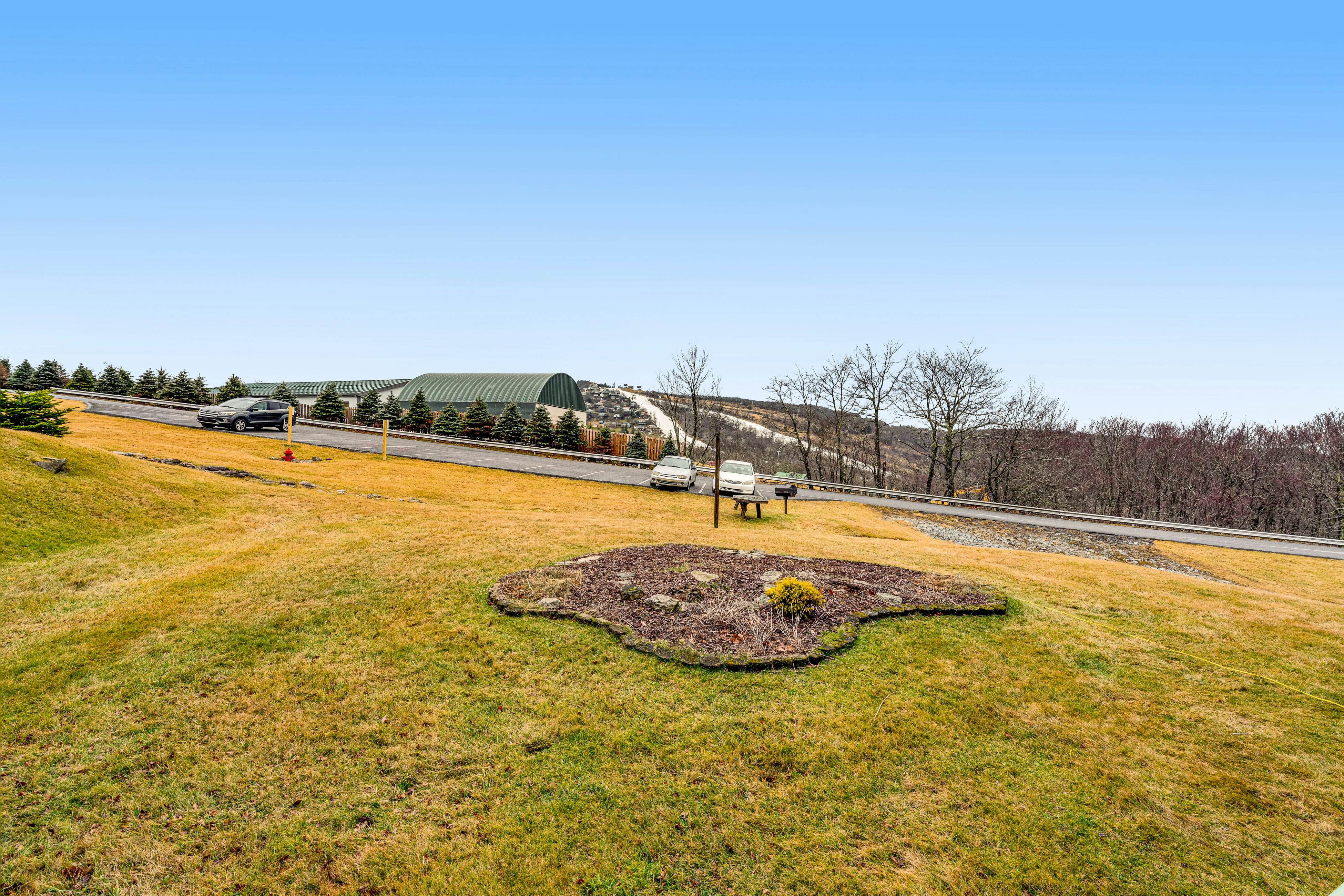 Serene Green Sanctuary