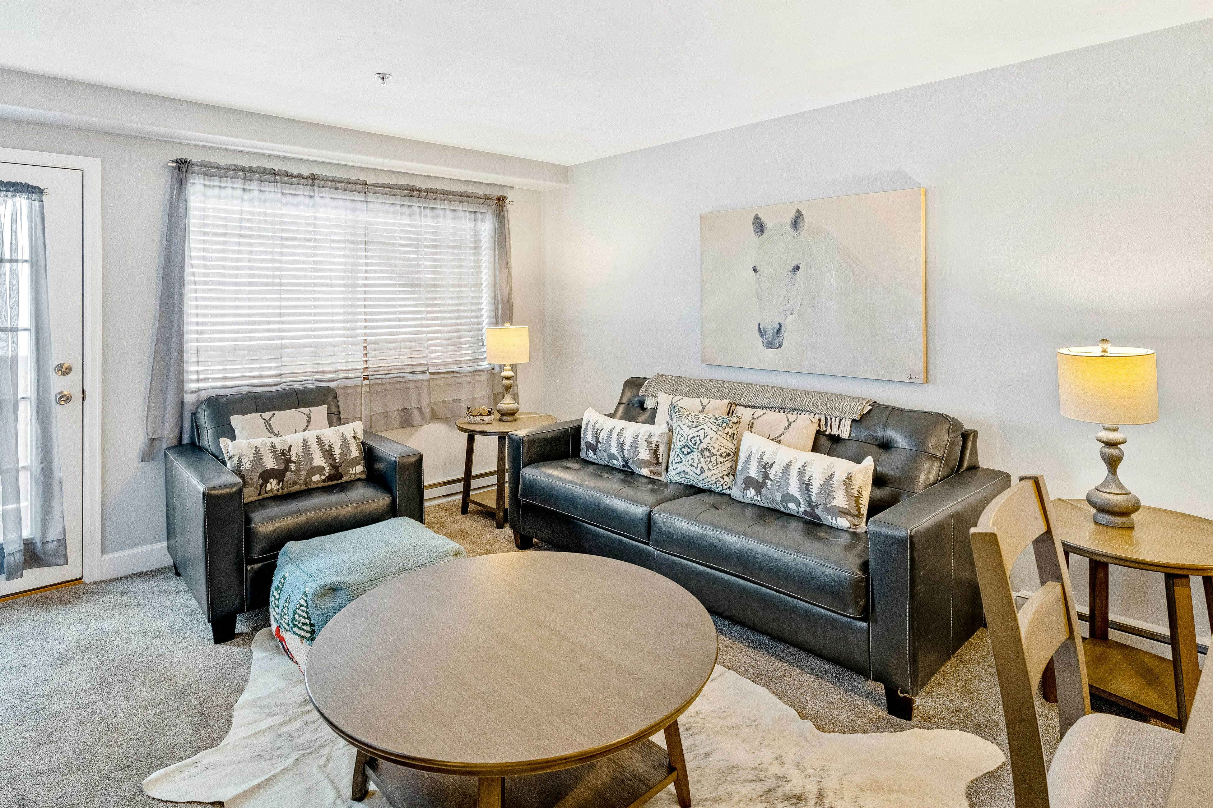 Steamboat Springs Vacation Rentals, Ski Cabins, House Rentals Vacasa