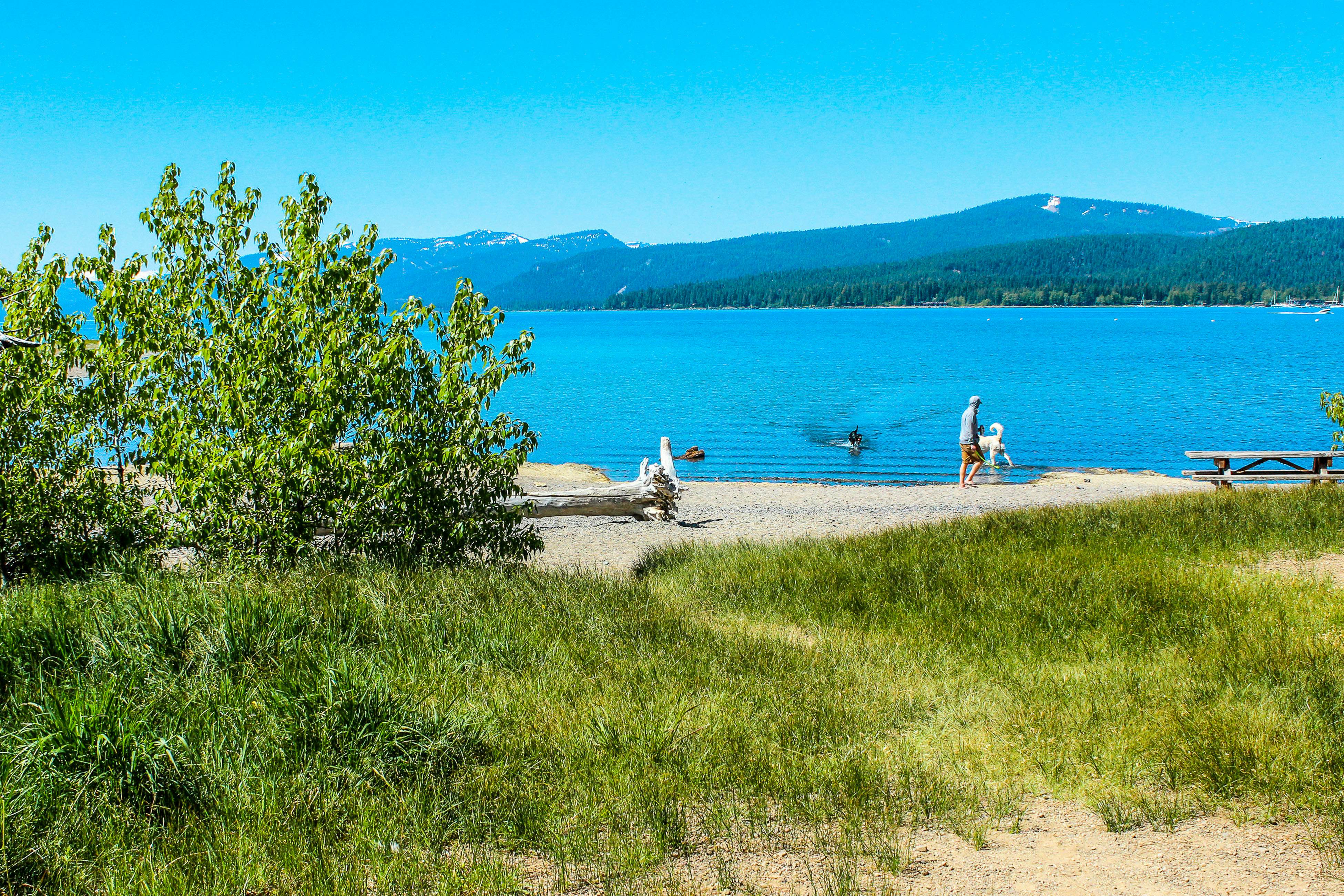 Lake Forest Drive Retreat