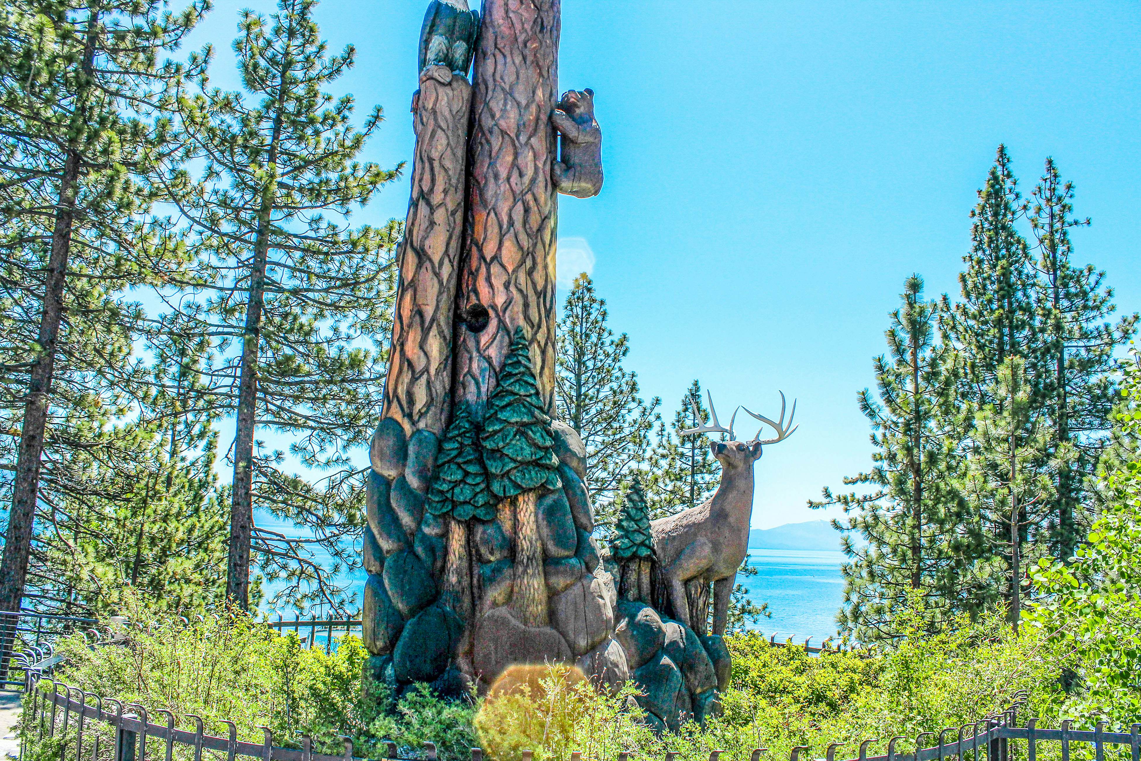 Lake Forest Drive Retreat