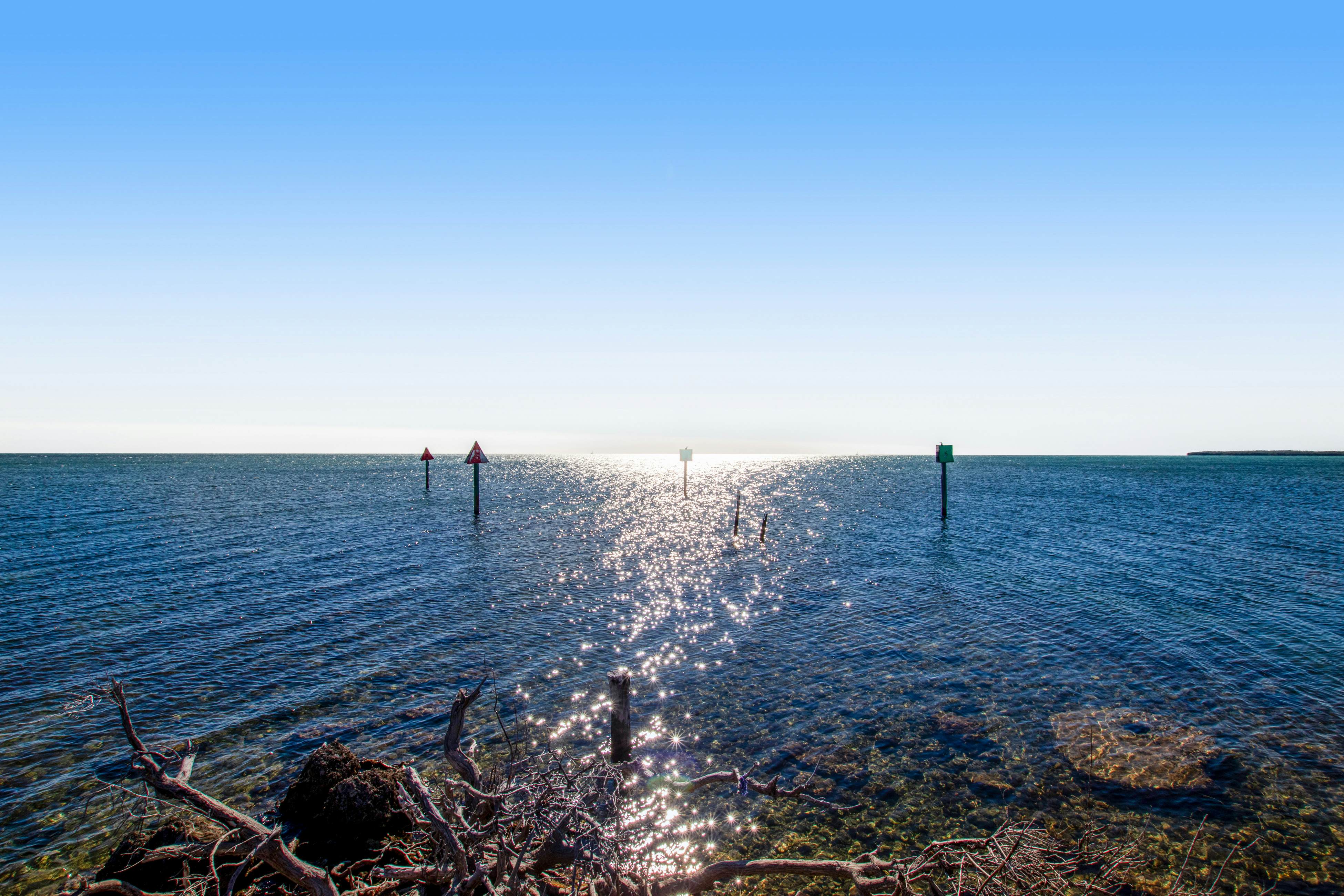 Tavernier Escape #4408