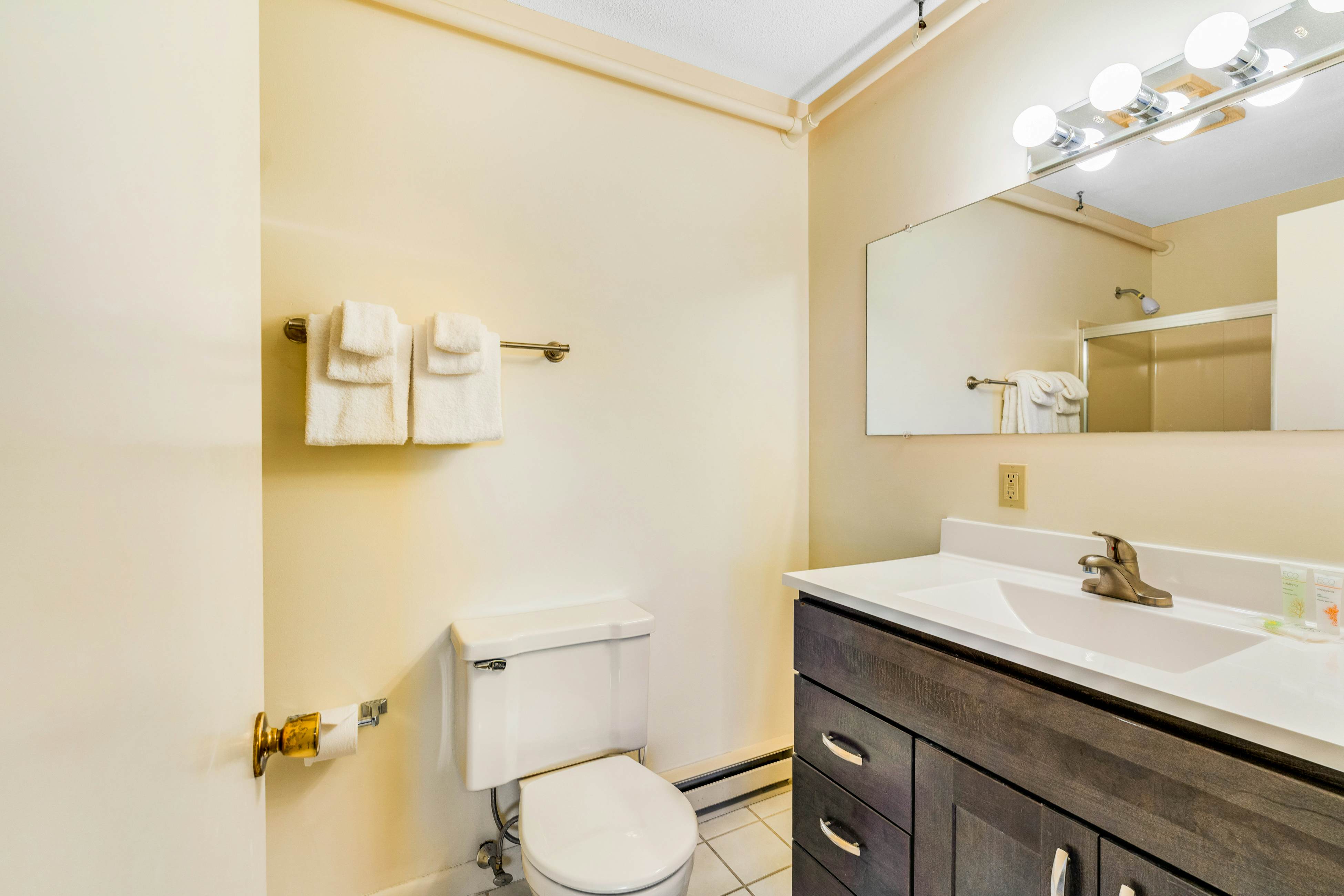 Mountainside Resort F303