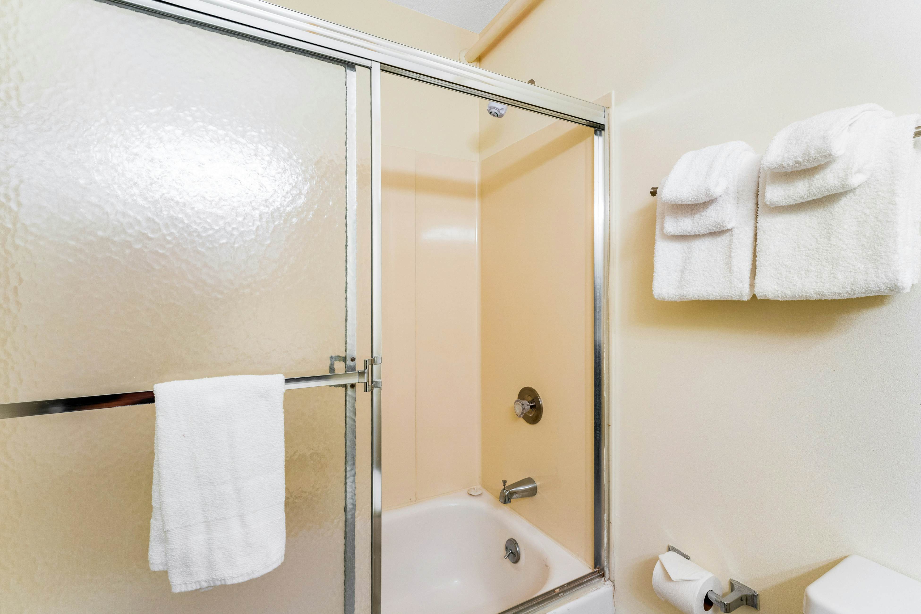 Mountainside Resort F303