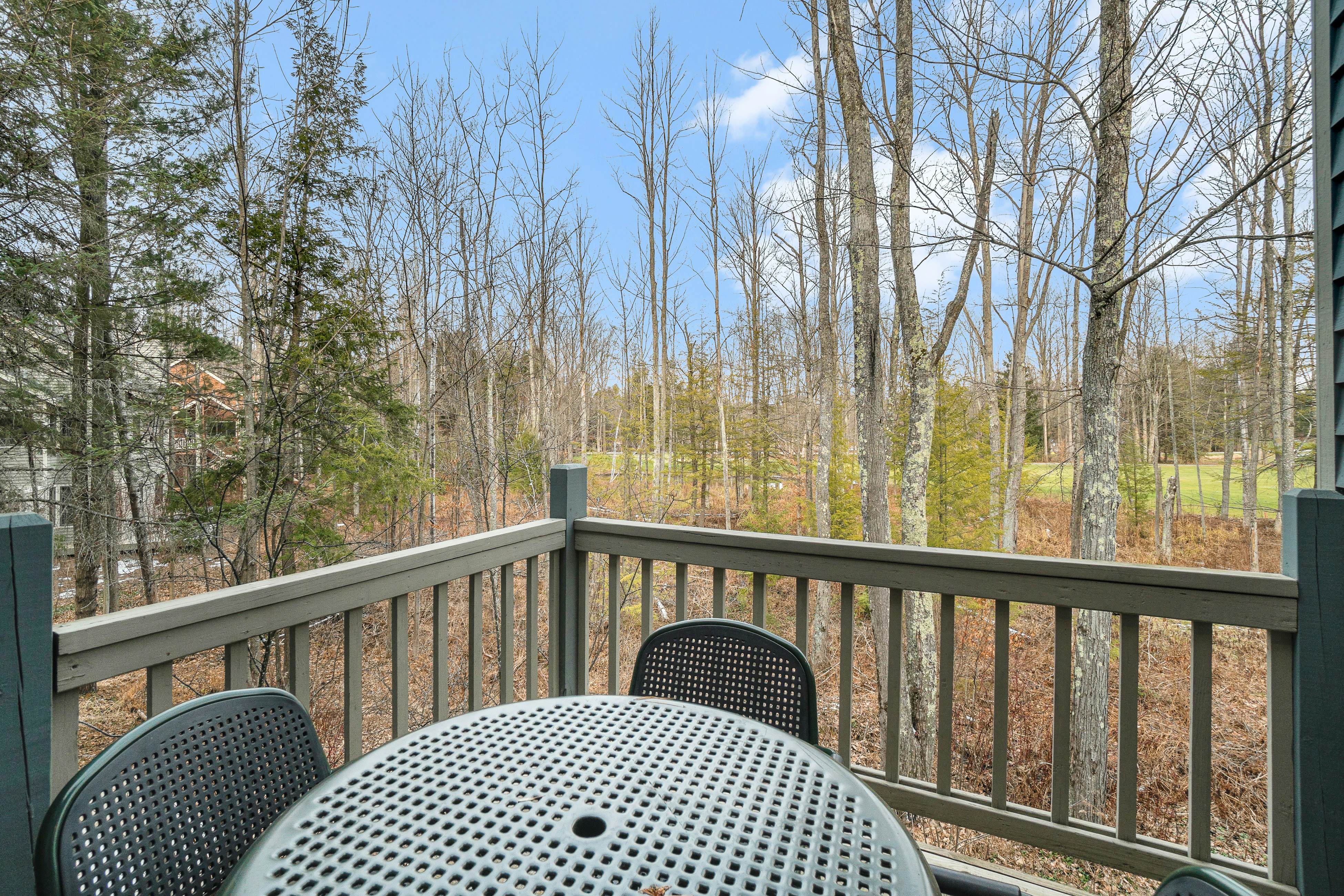 Wintergreen Condo, Unit #543