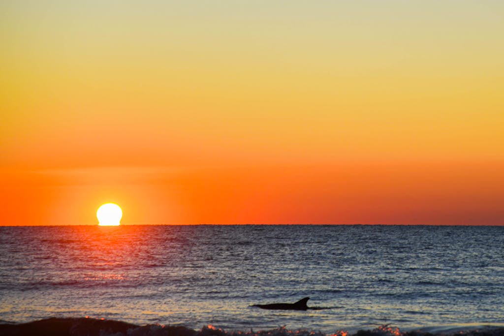 Oceanfront condo w/free WiFi, balcony, shared pool & tennis court, & private W/D — Hilton Head, SC — vacation rental