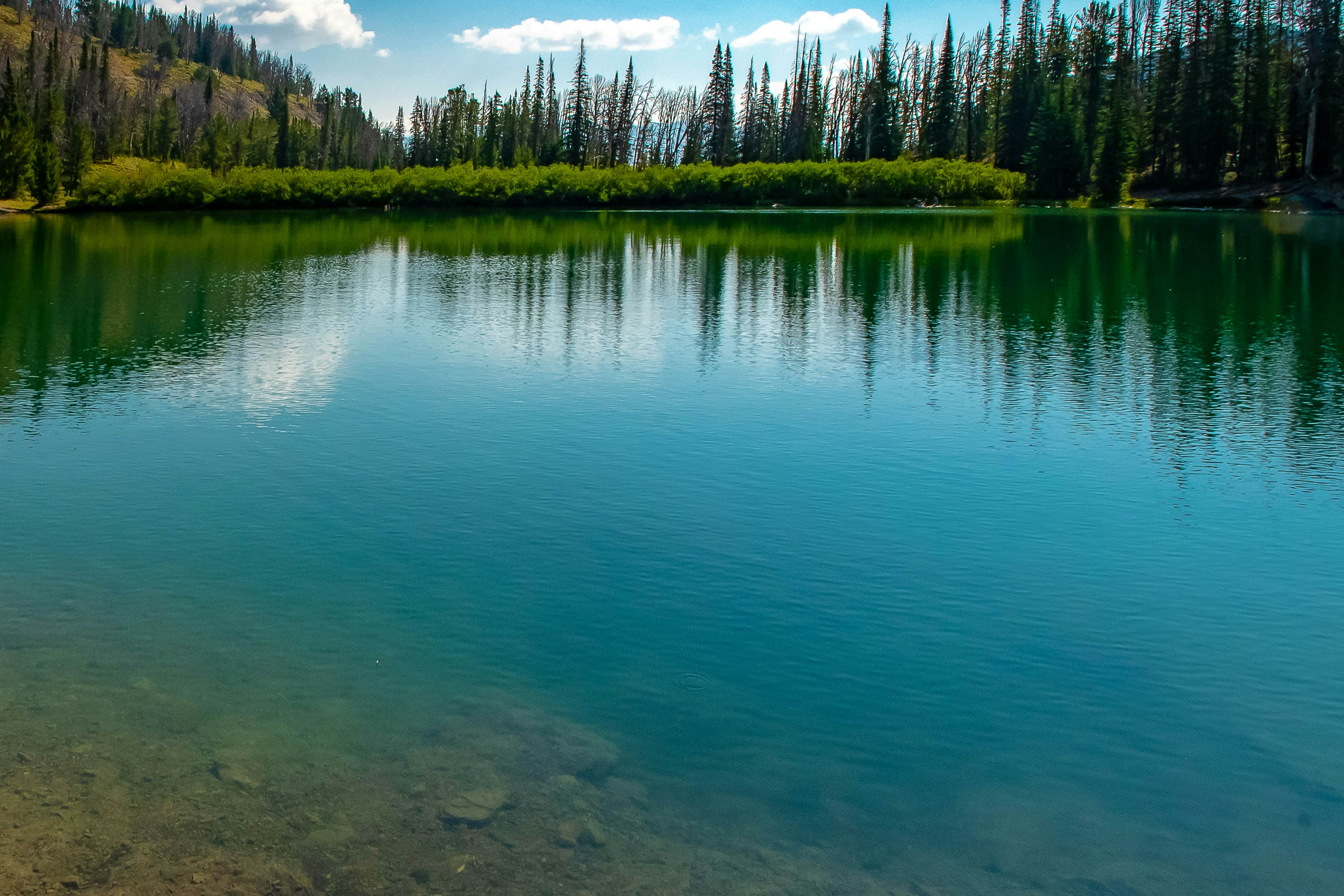 Single Level Ranch Condo in Elkhorn