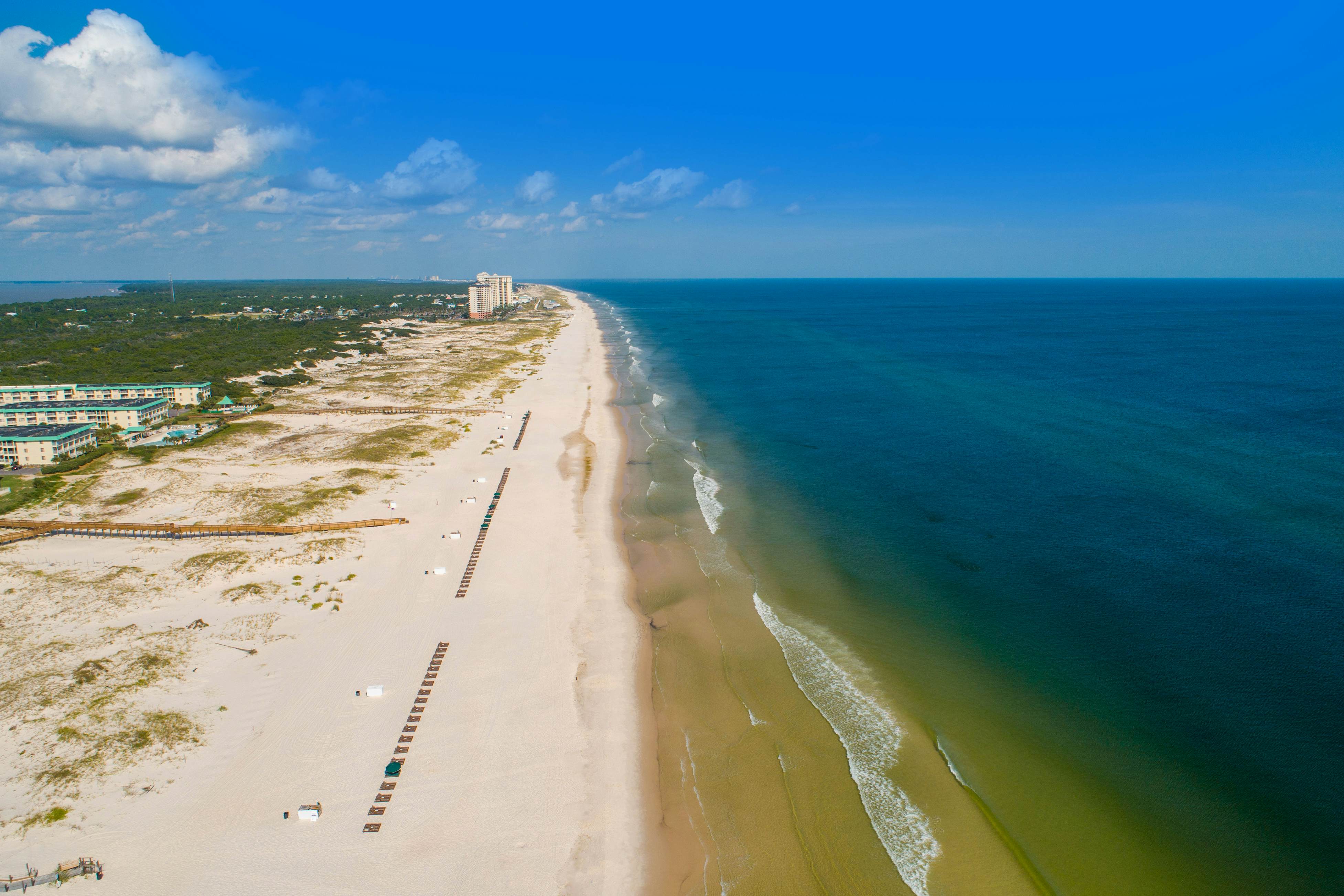 Plantation Dunes #5714