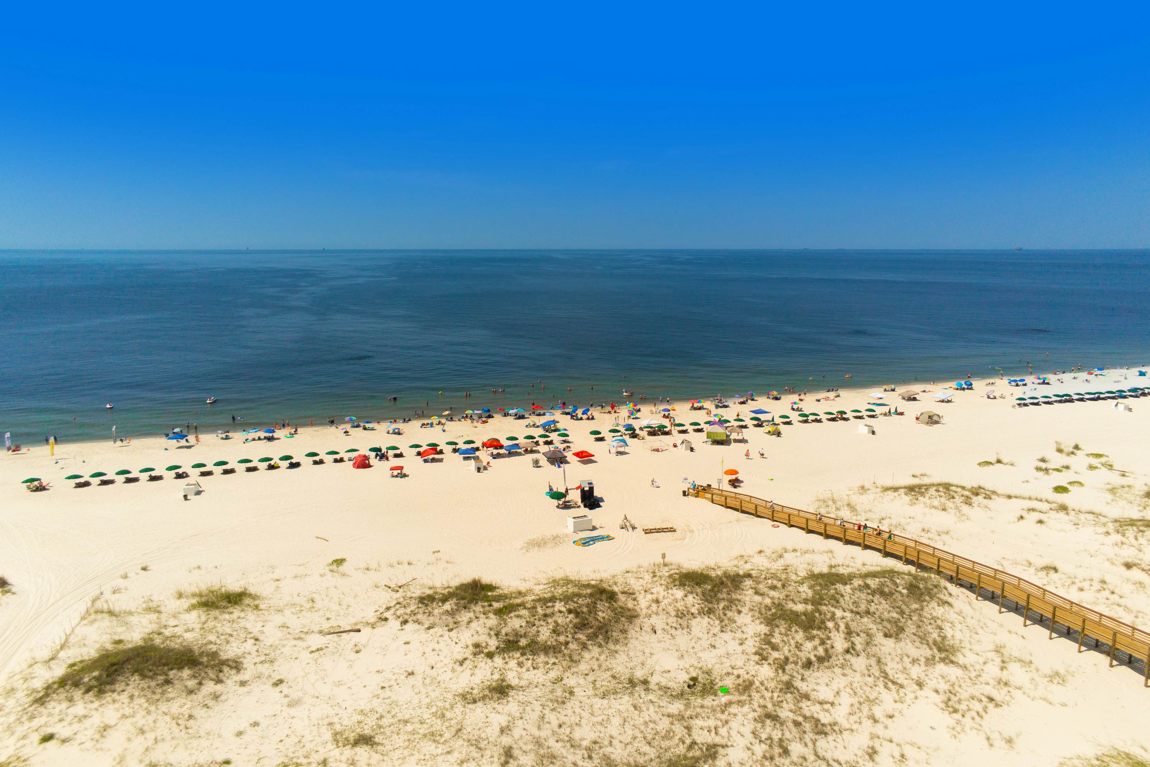 Plantation Dunes #5716