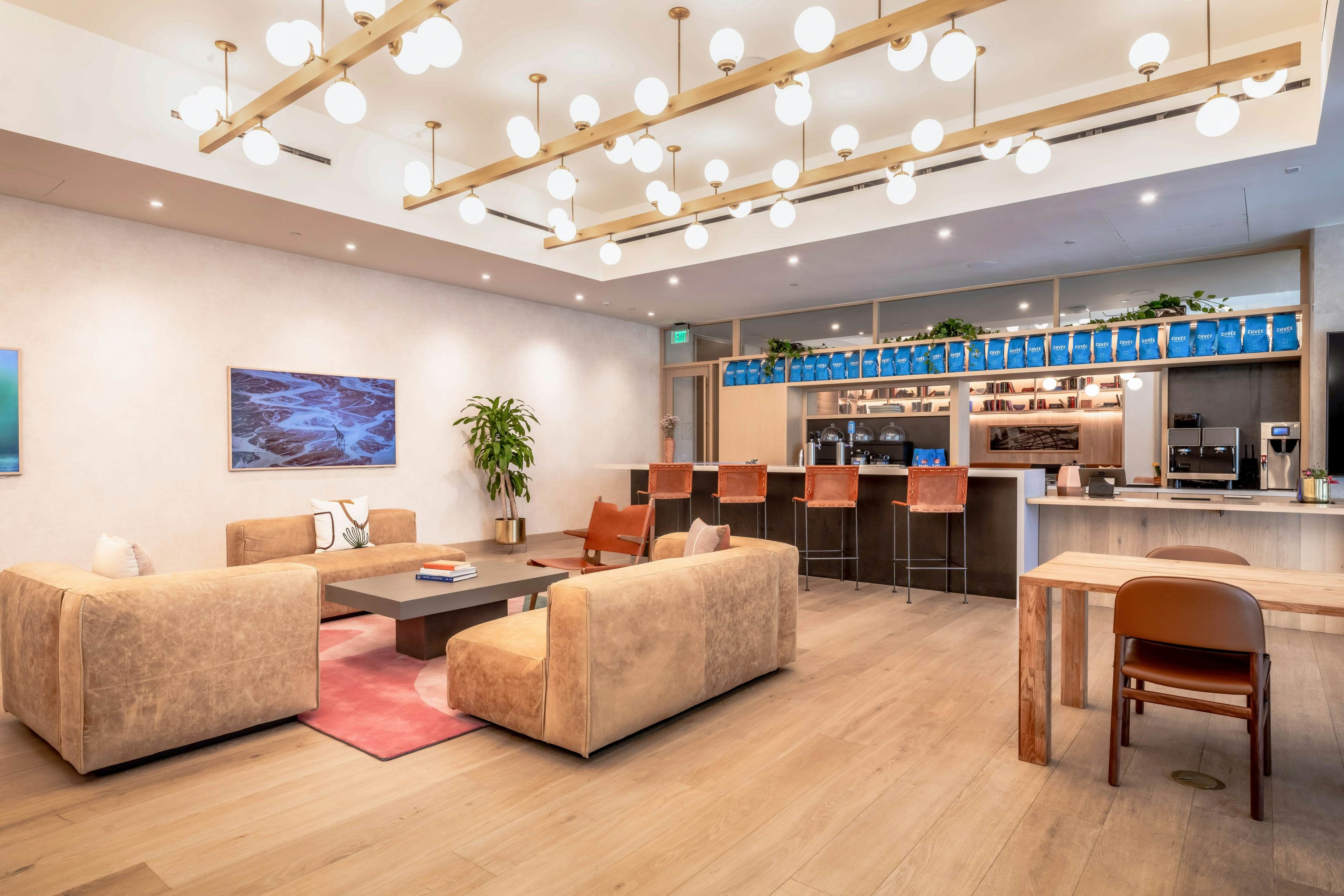 Natiivo Austin Paintbrush