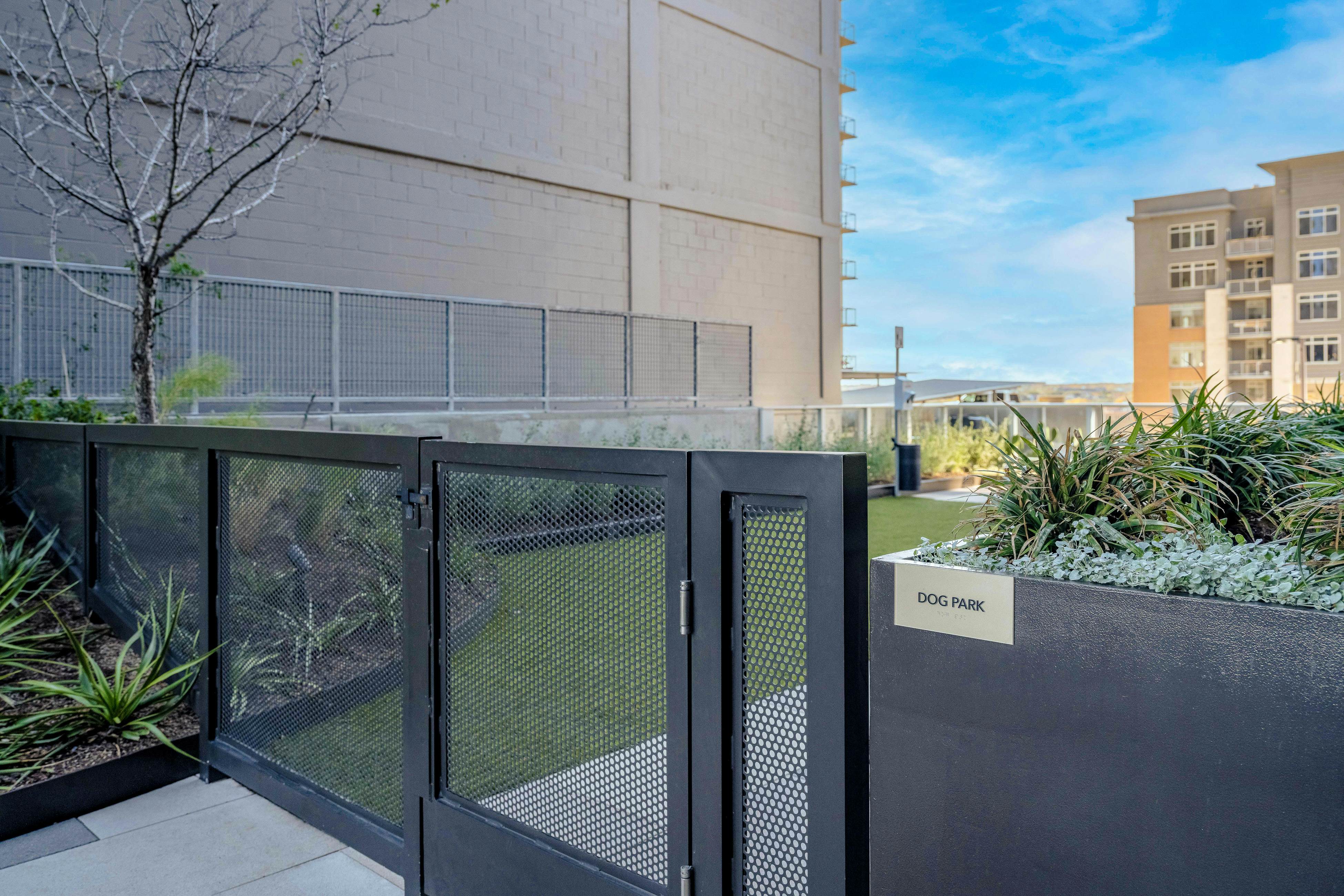 Natiivo Austin Sunbeam