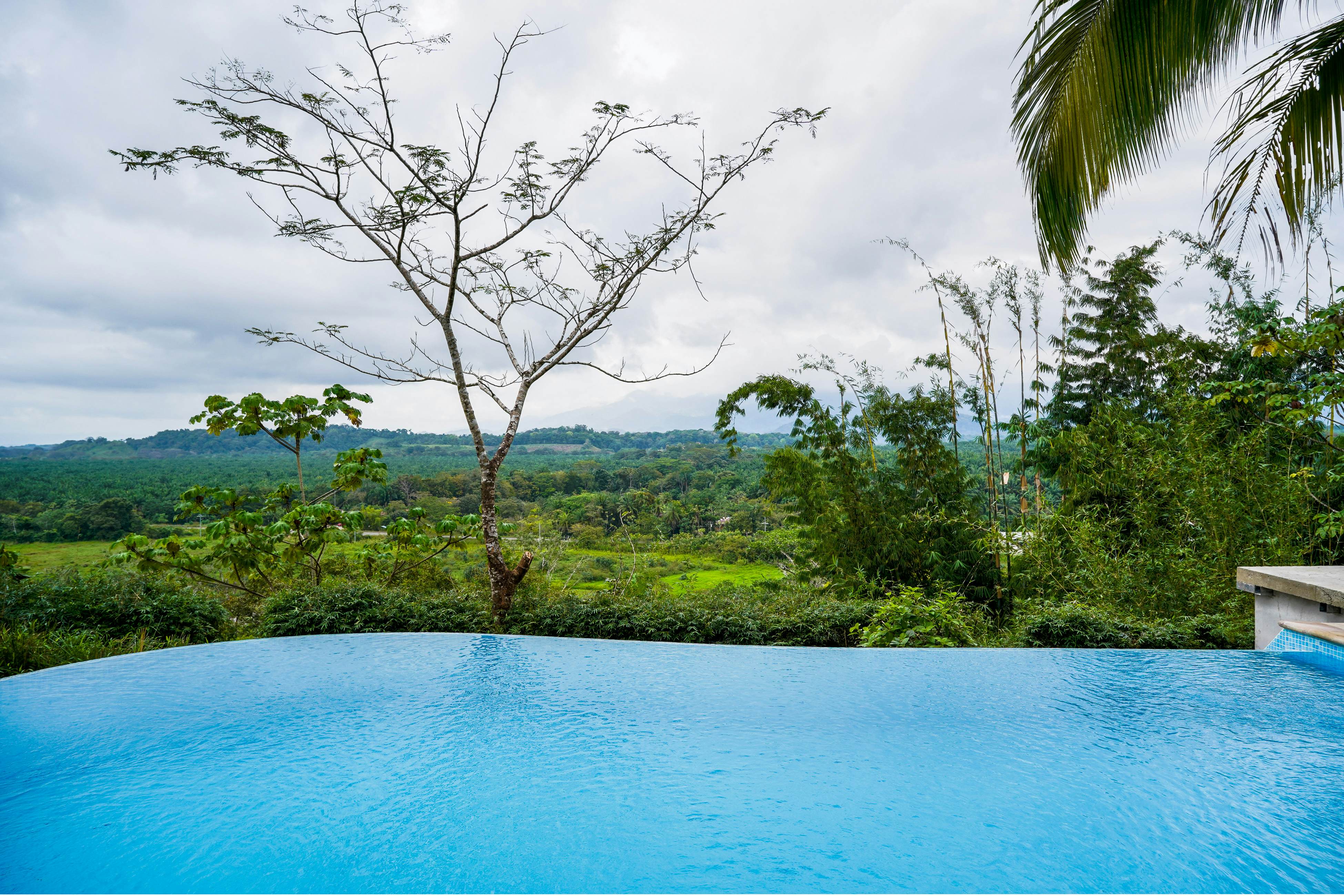Jungle Jewel 4 BD Quepos, Pu Vacation Rental Vacasa