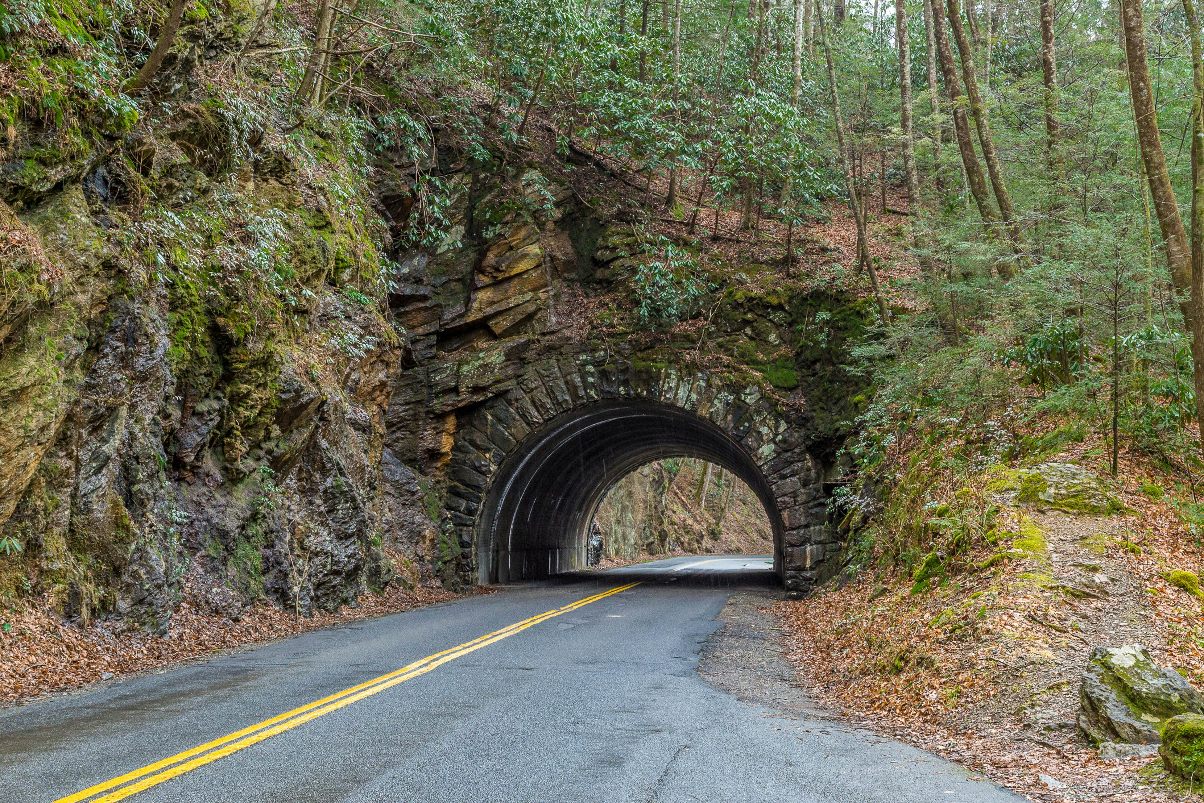 Starr Crest Resort - Always and Forever