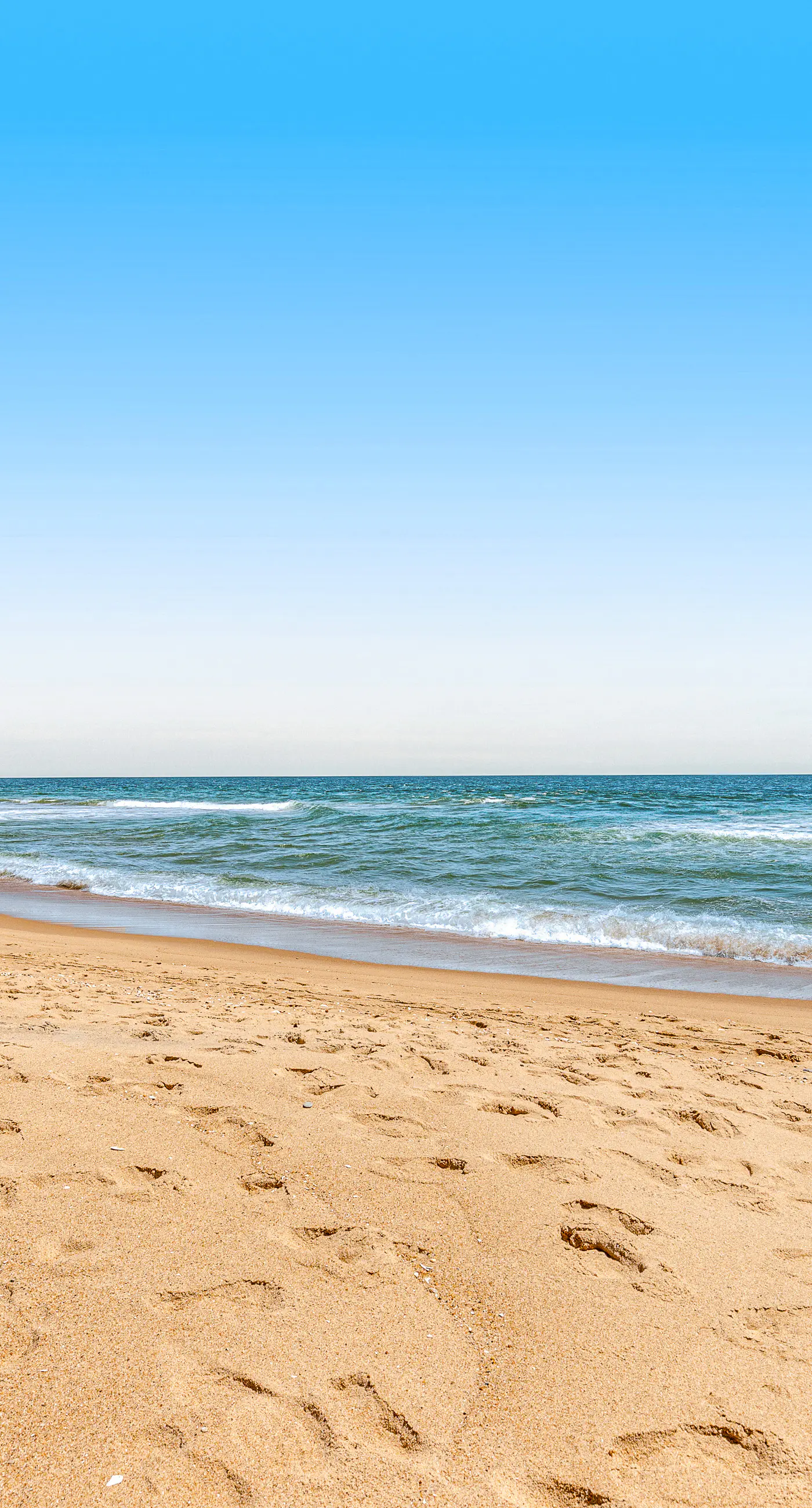 Sea Colony - 406 Annapolis House Rd