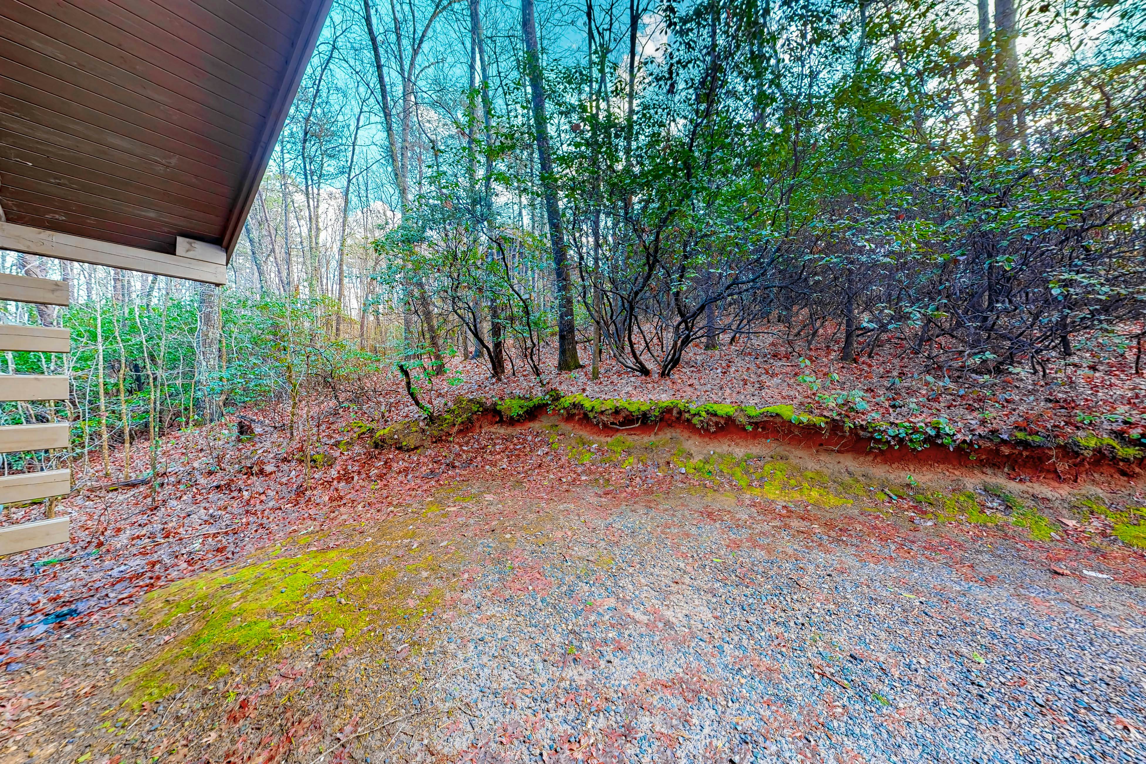 Victorian Secret Cabin