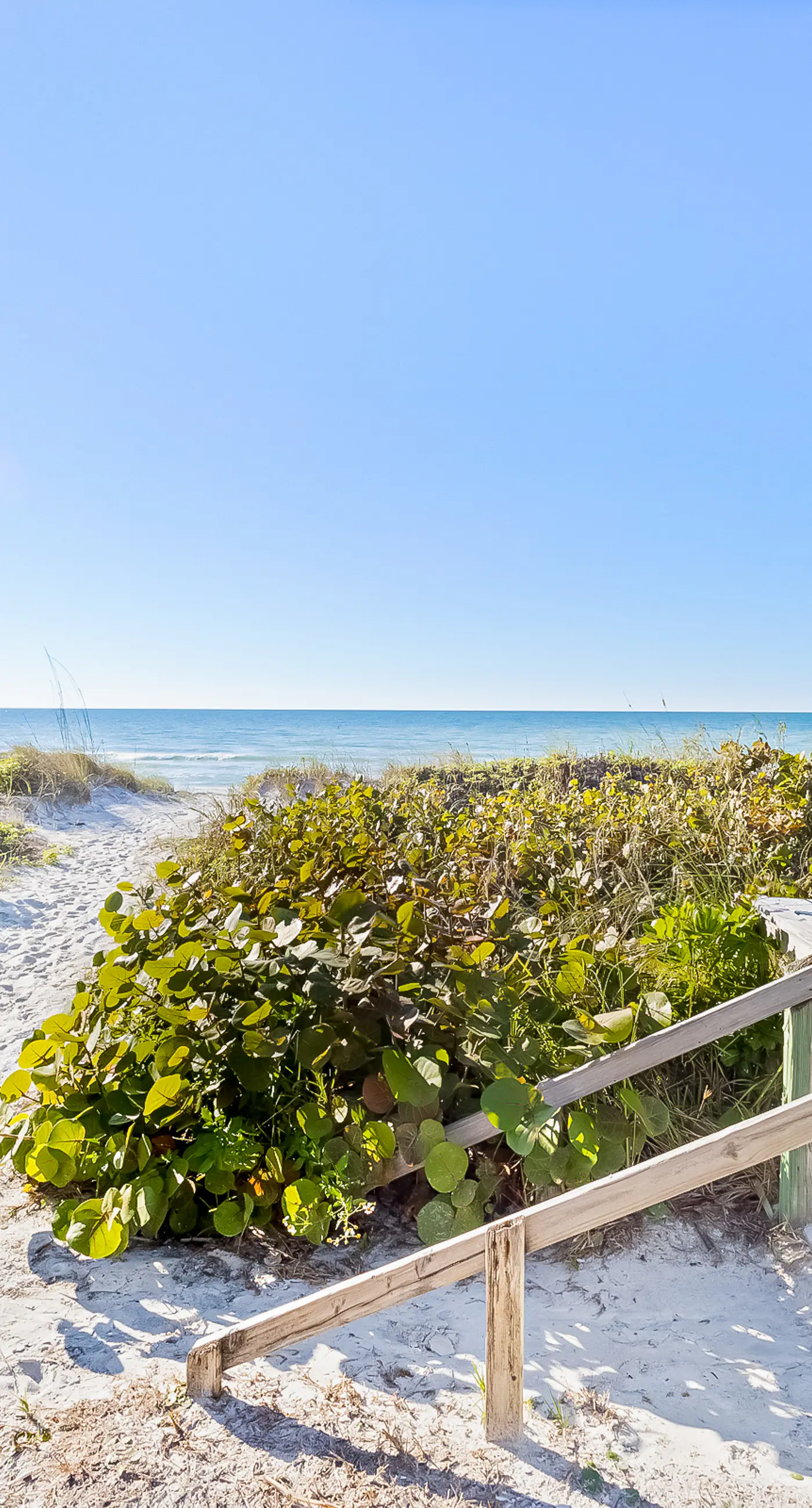 Beachy Keen Cottage 3 BD Belleair Beach, FL Vacation Rental Vacasa