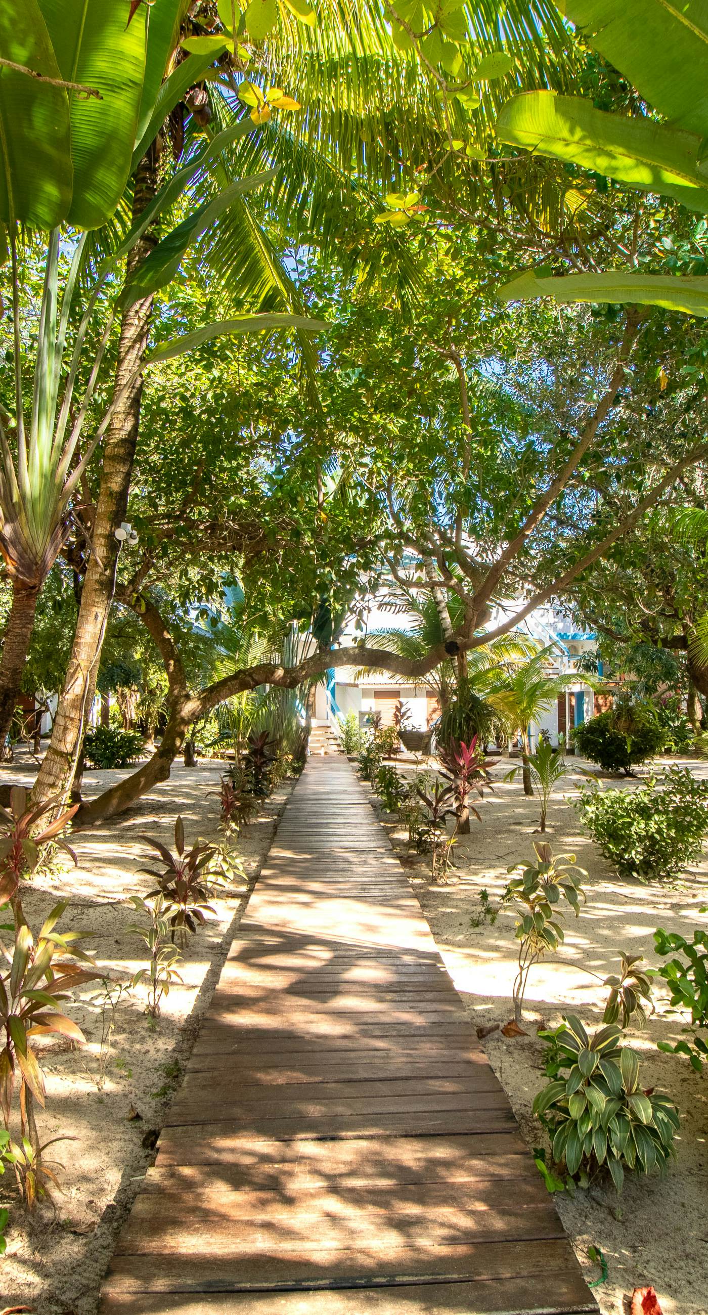 Condo #23 at Beachside Villas -Gold Standard Certified