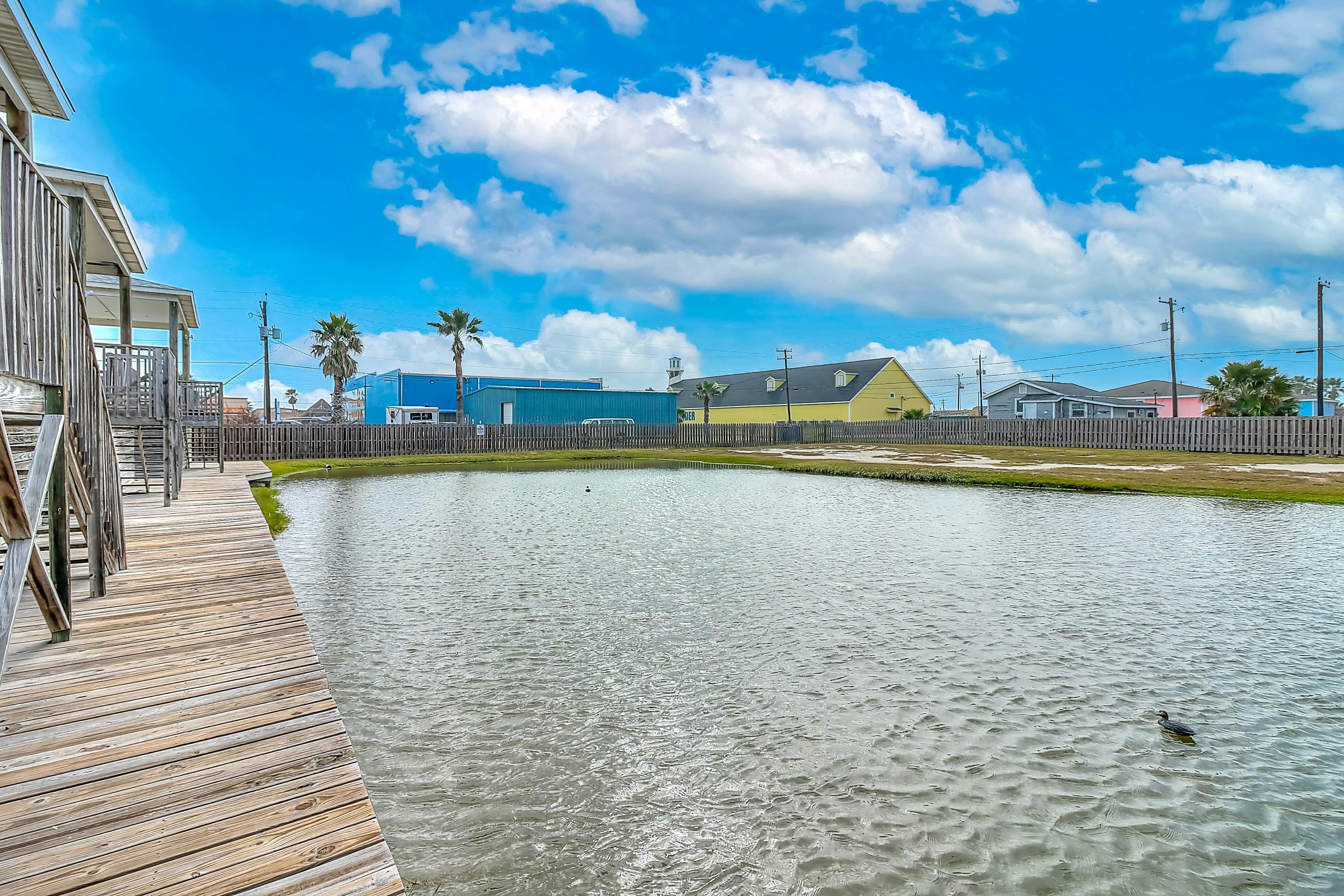 The Moor The Merrier