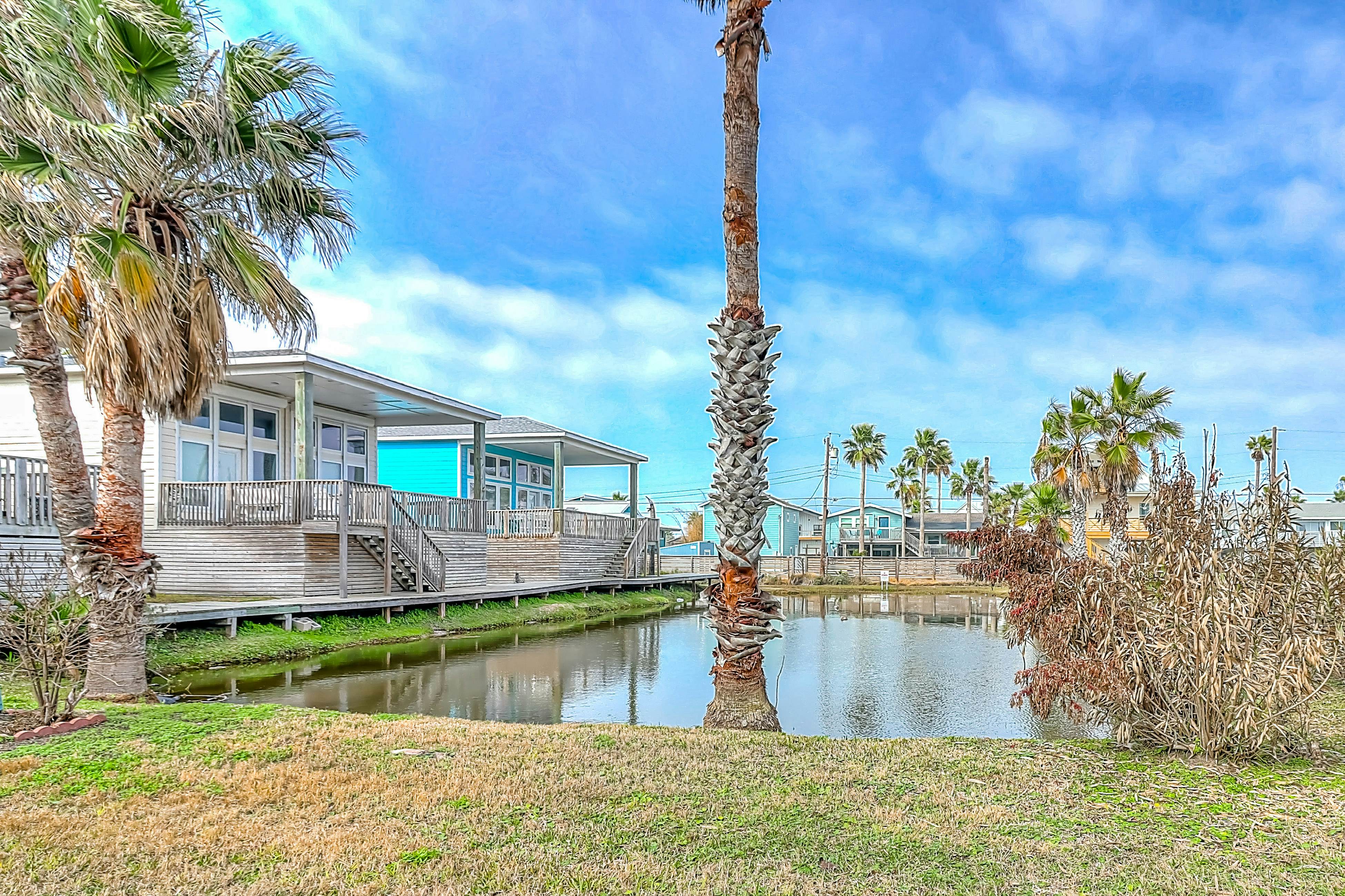 The Moor The Merrier