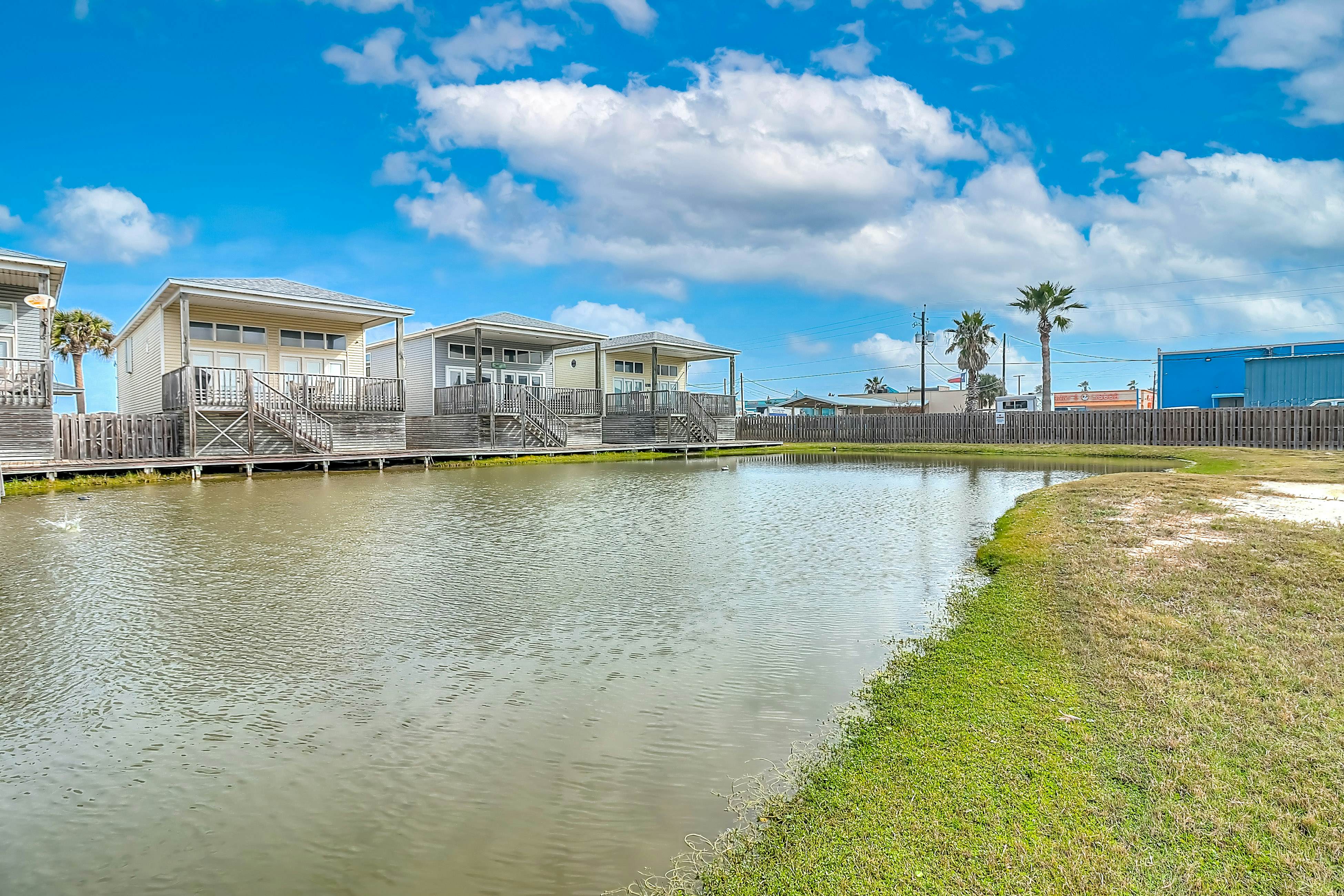 The Moor The Merrier