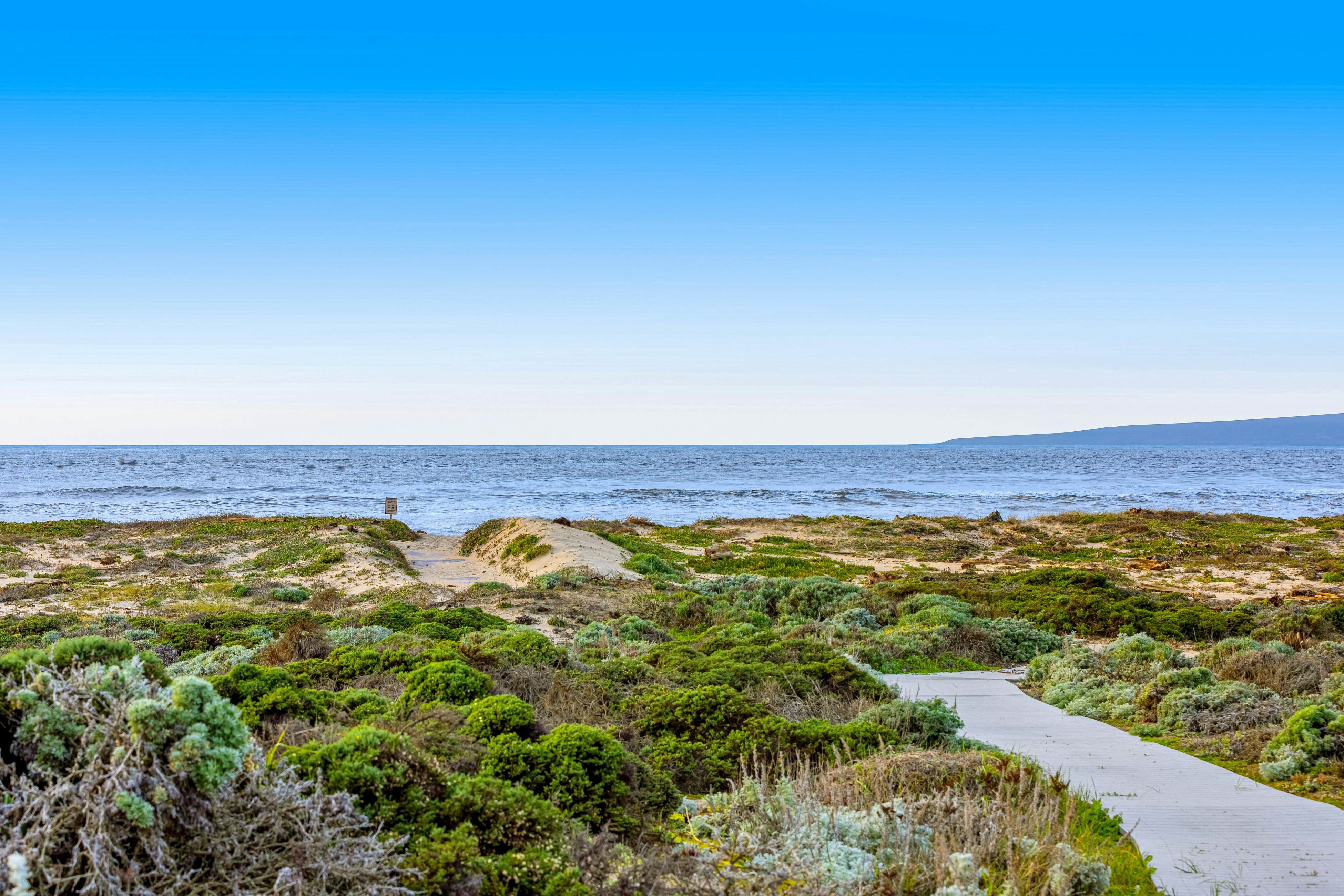 Monterey Dune Dream