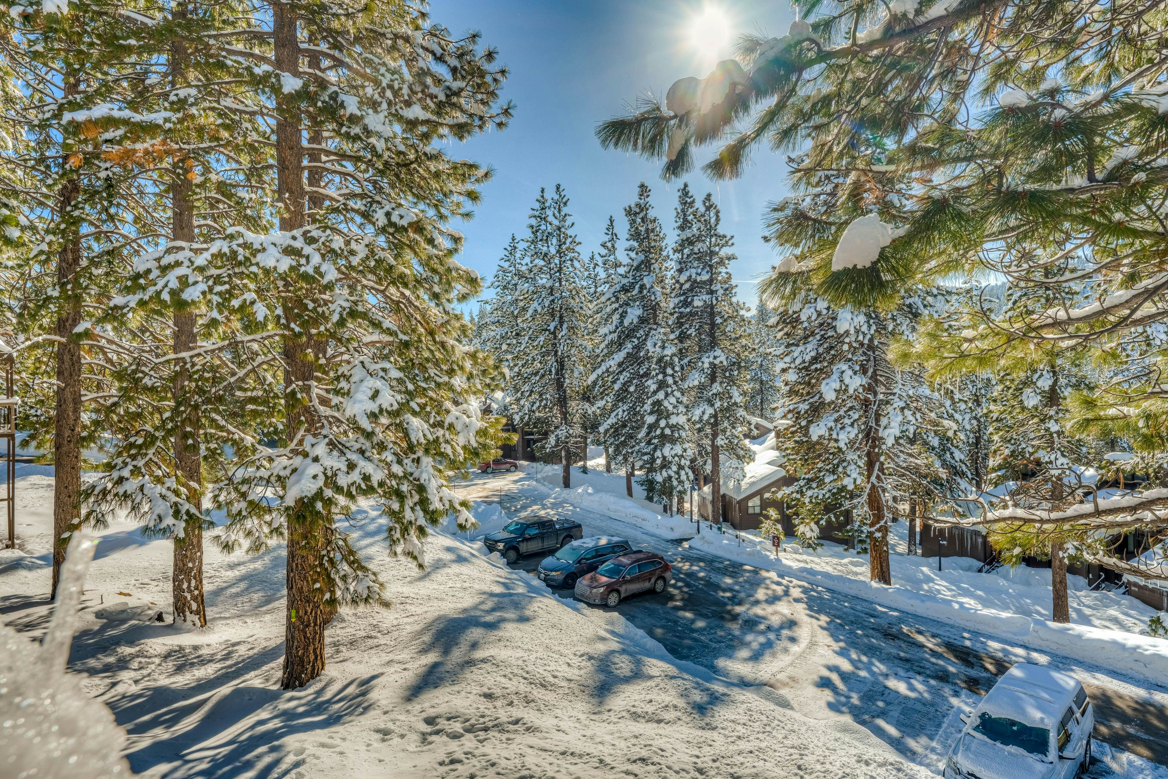 The Pines at Rocky Point