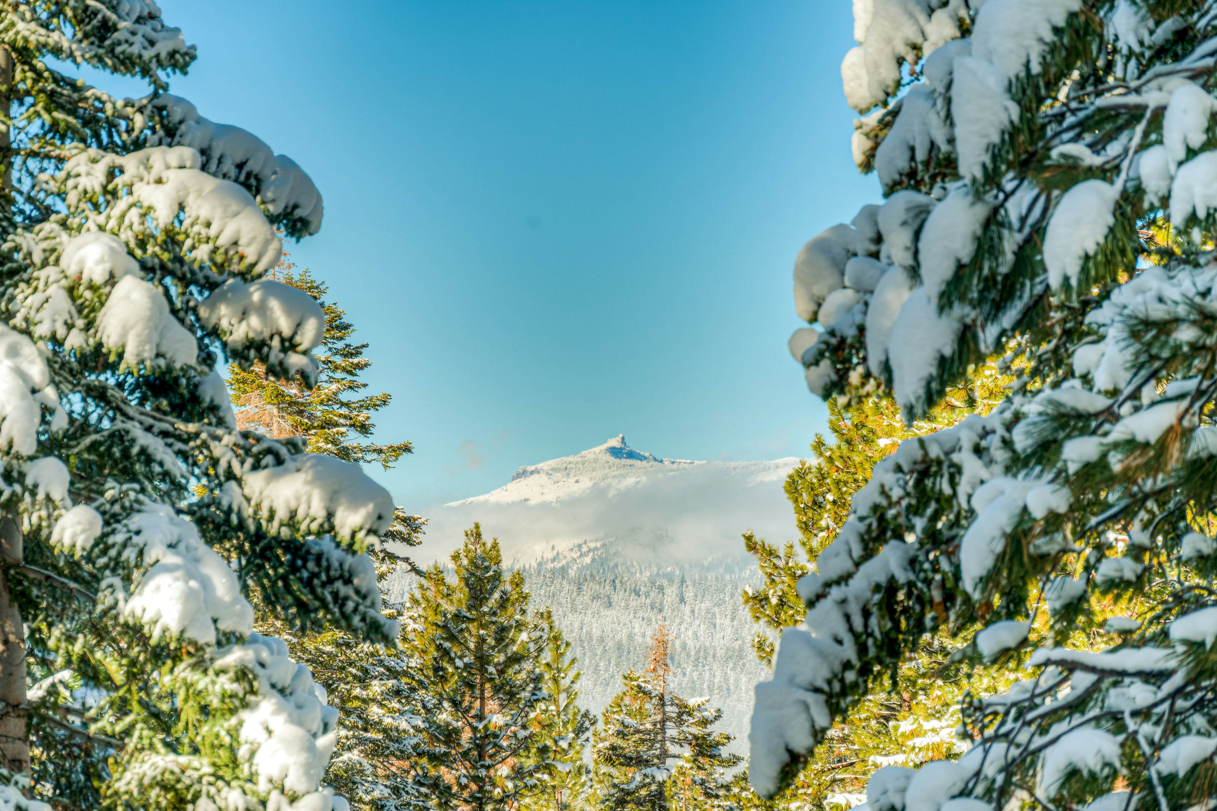 The Pines at Rocky Point