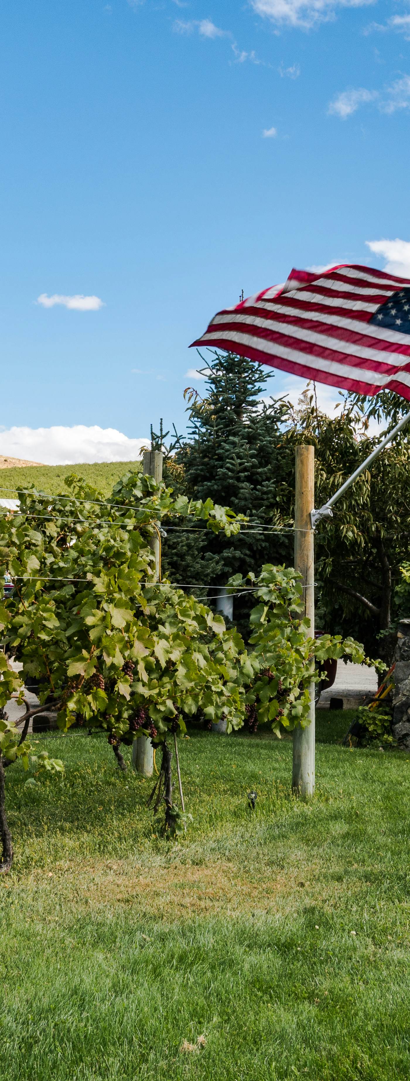 Park Pointe - City Sights Chalet -A204