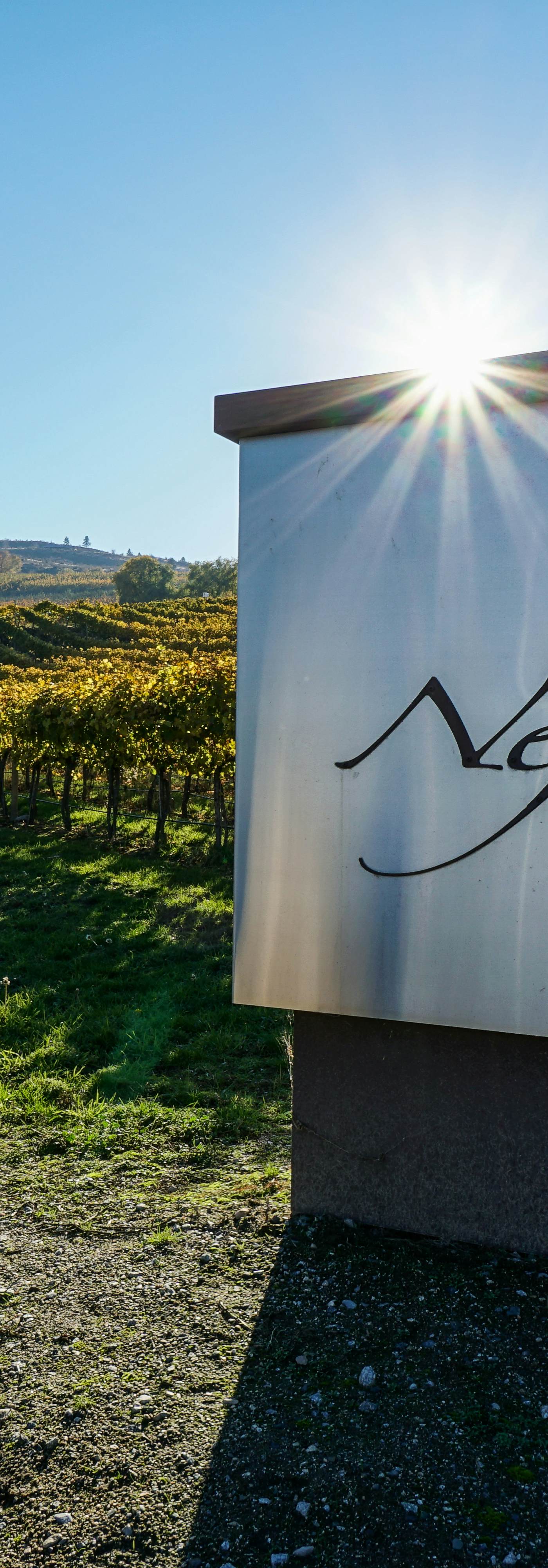 Park Pointe - City Sights Chalet -A204