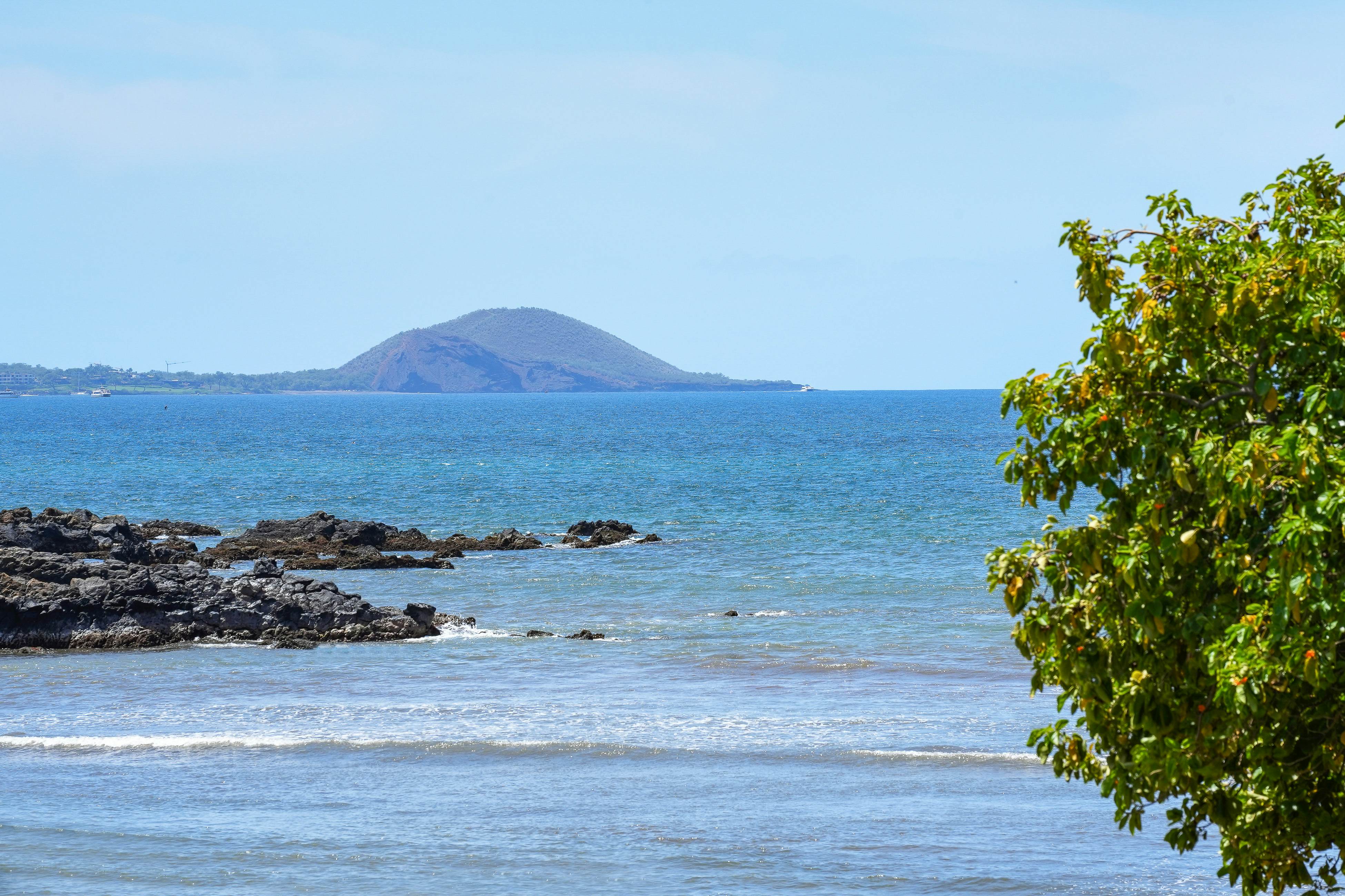 Kihei Park Shores 13