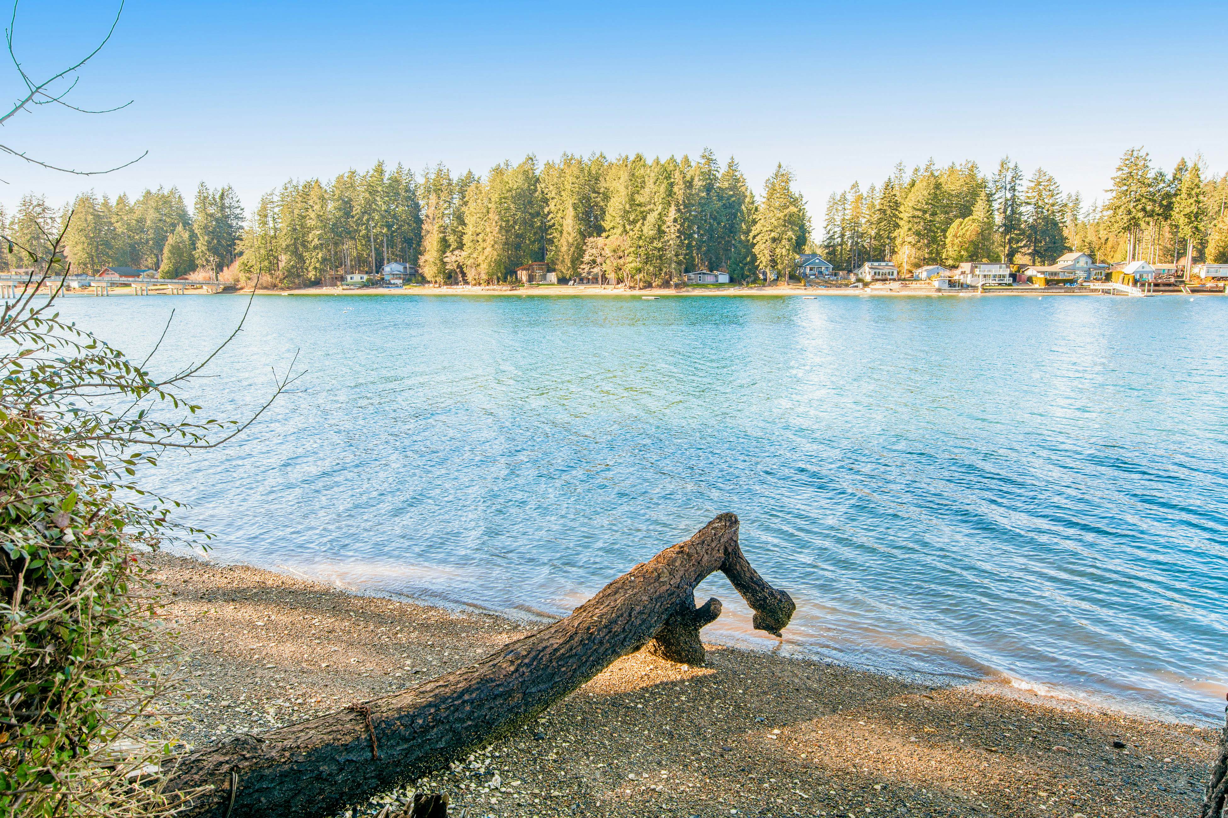 Treasure Island Escape