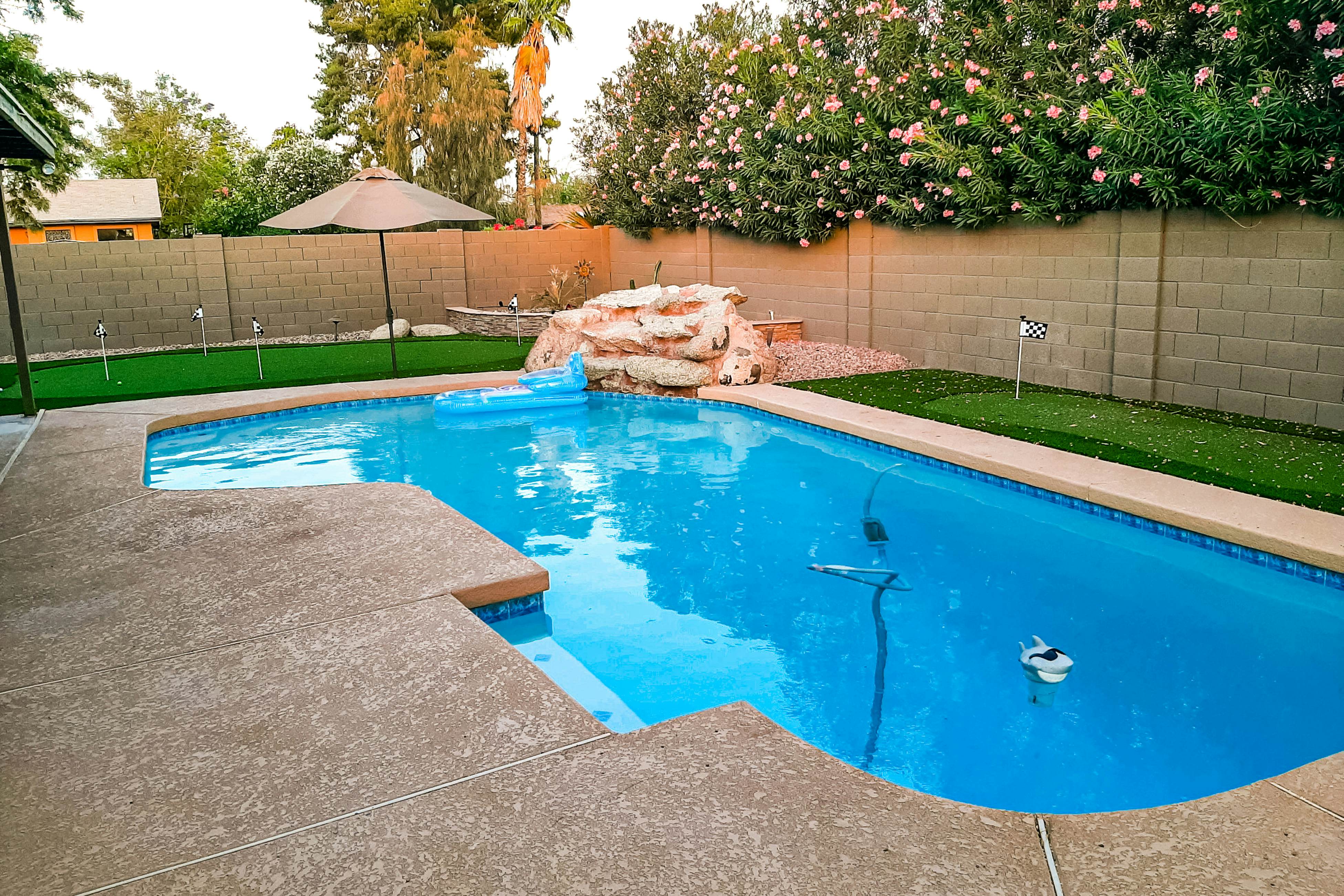 Scottsdale's Charmer