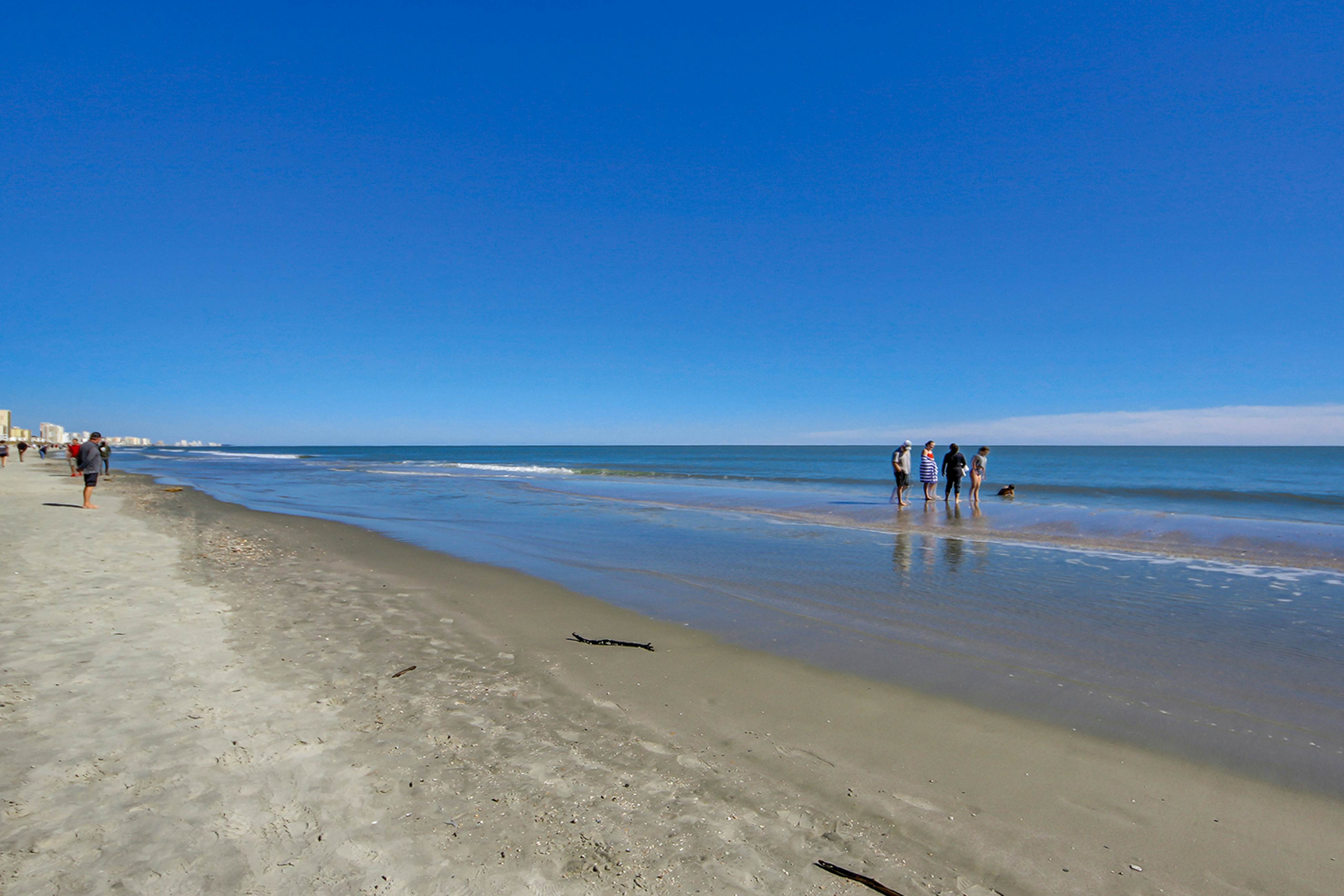 North Beach Towers 213