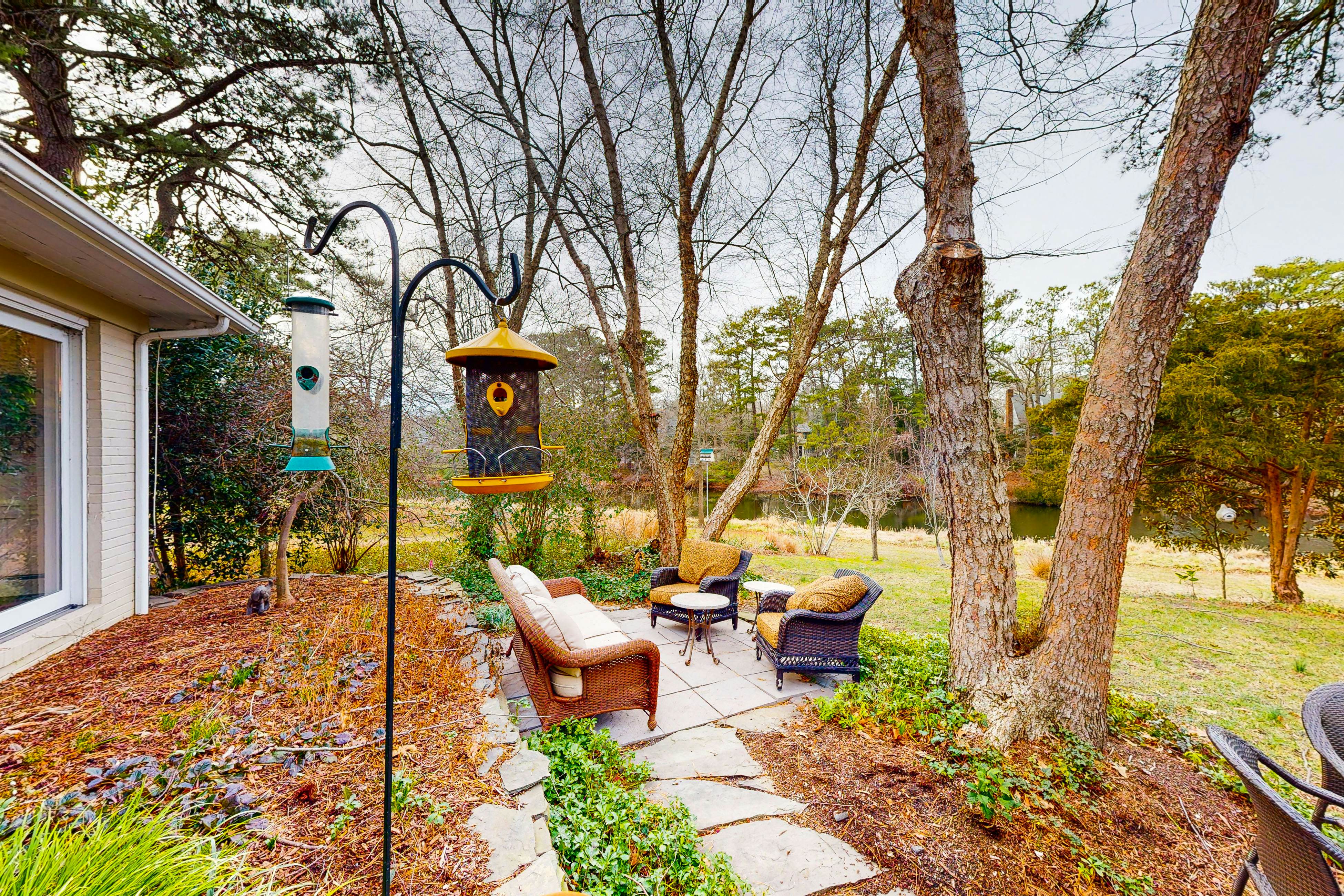 Town of Rehoboth Beach - 51 Olive Ave