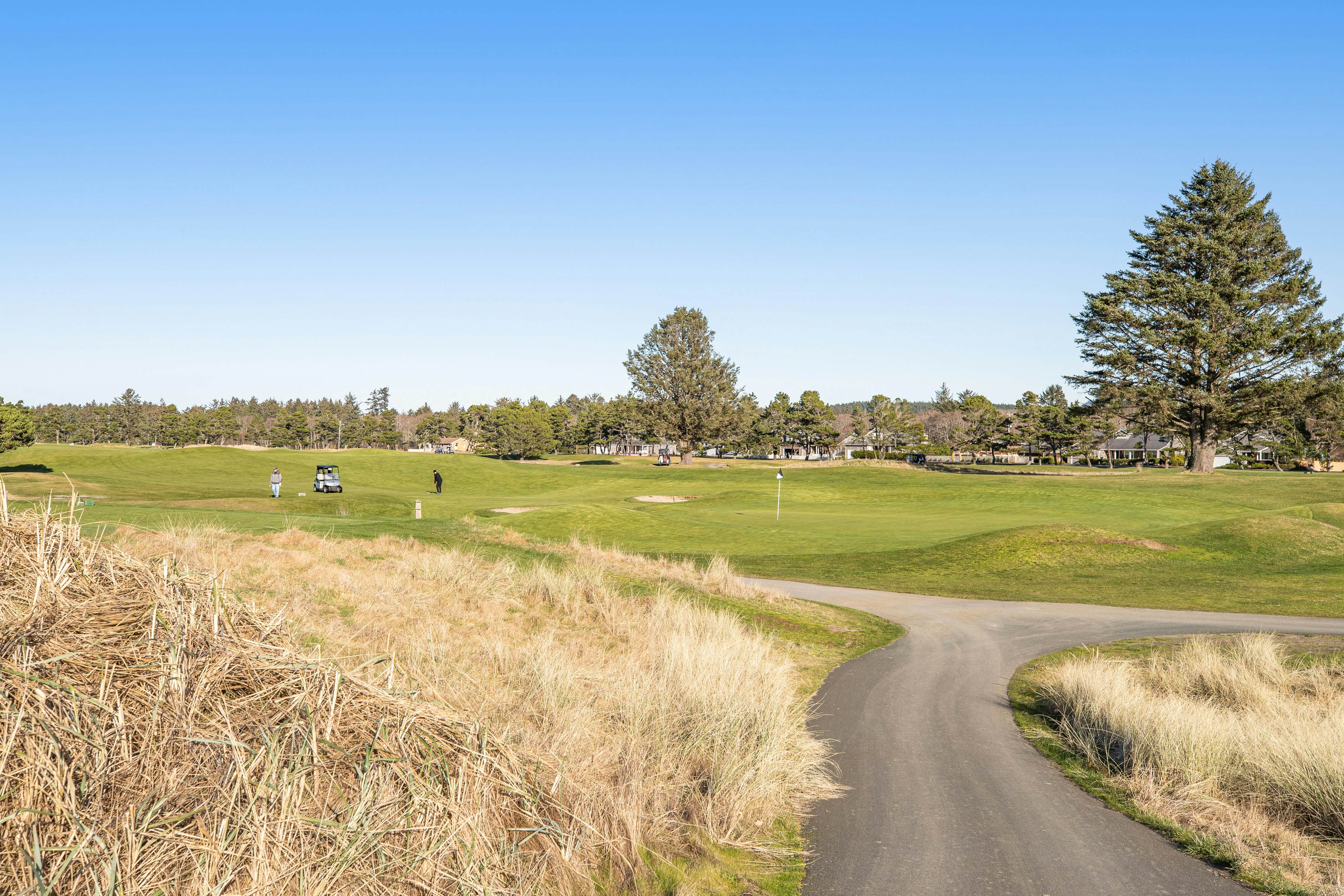 Beachcomber's Retreat