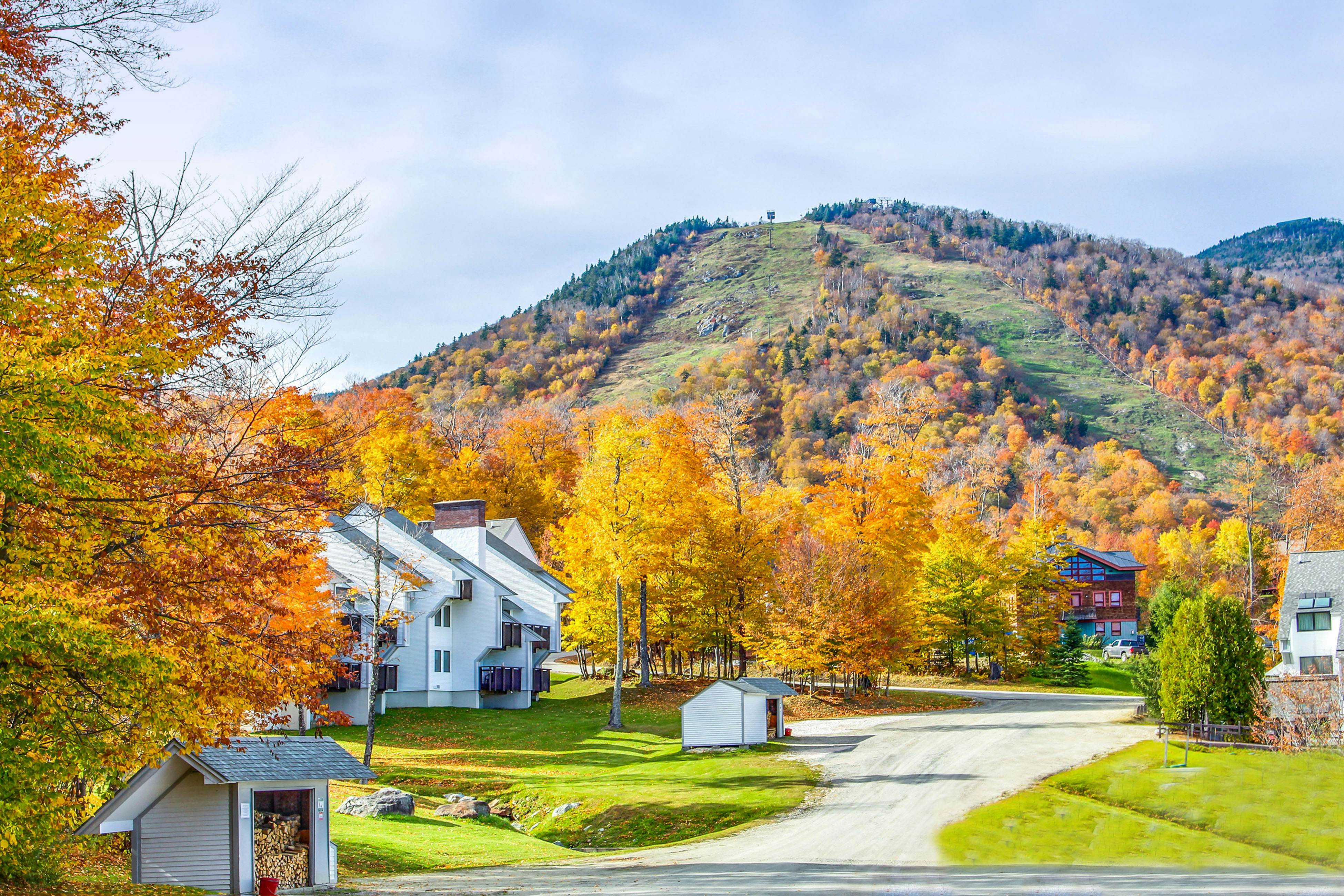 Sunrise - Timberline-L5