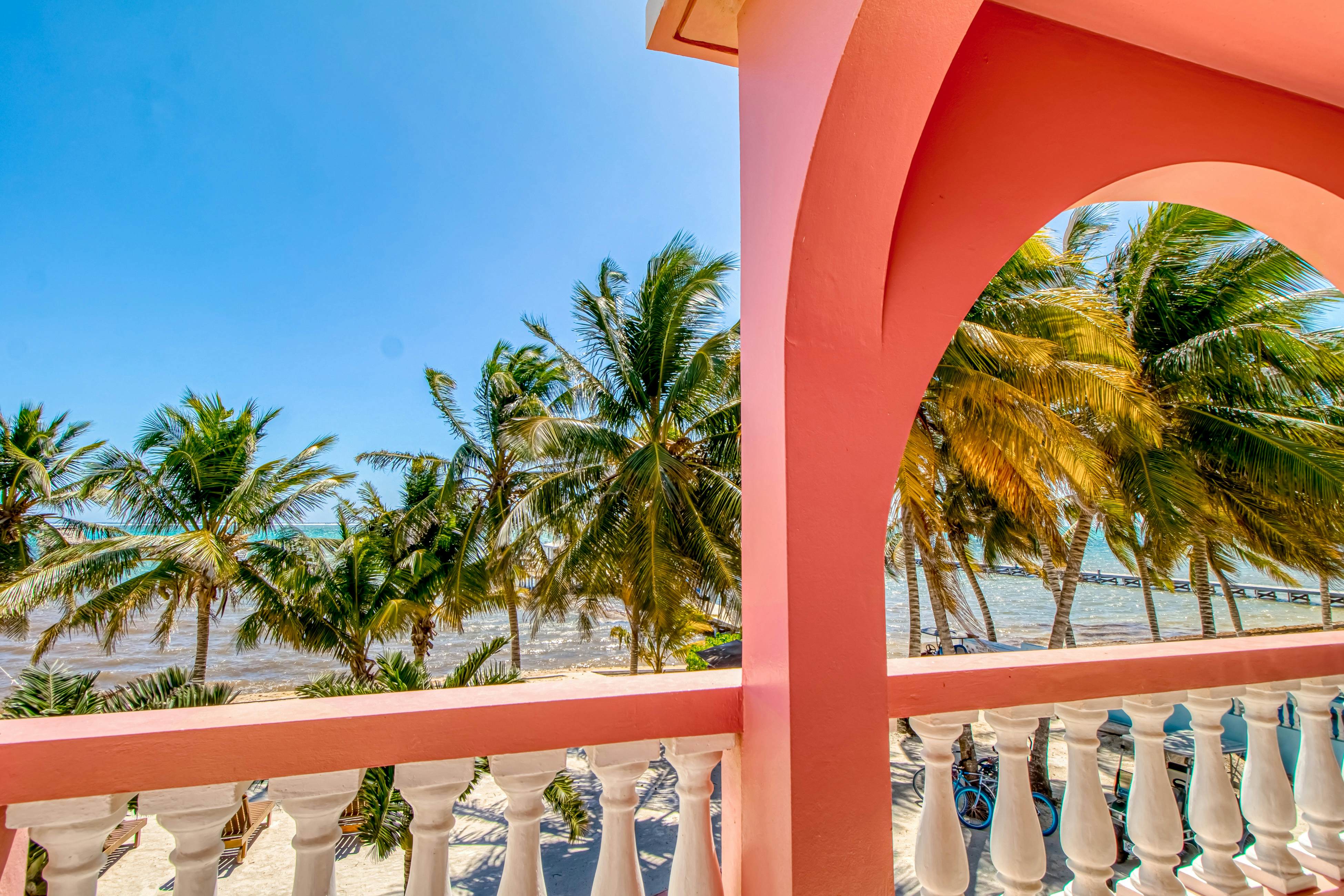 Mango 10 at Caribe Island  Gold Standard Certified