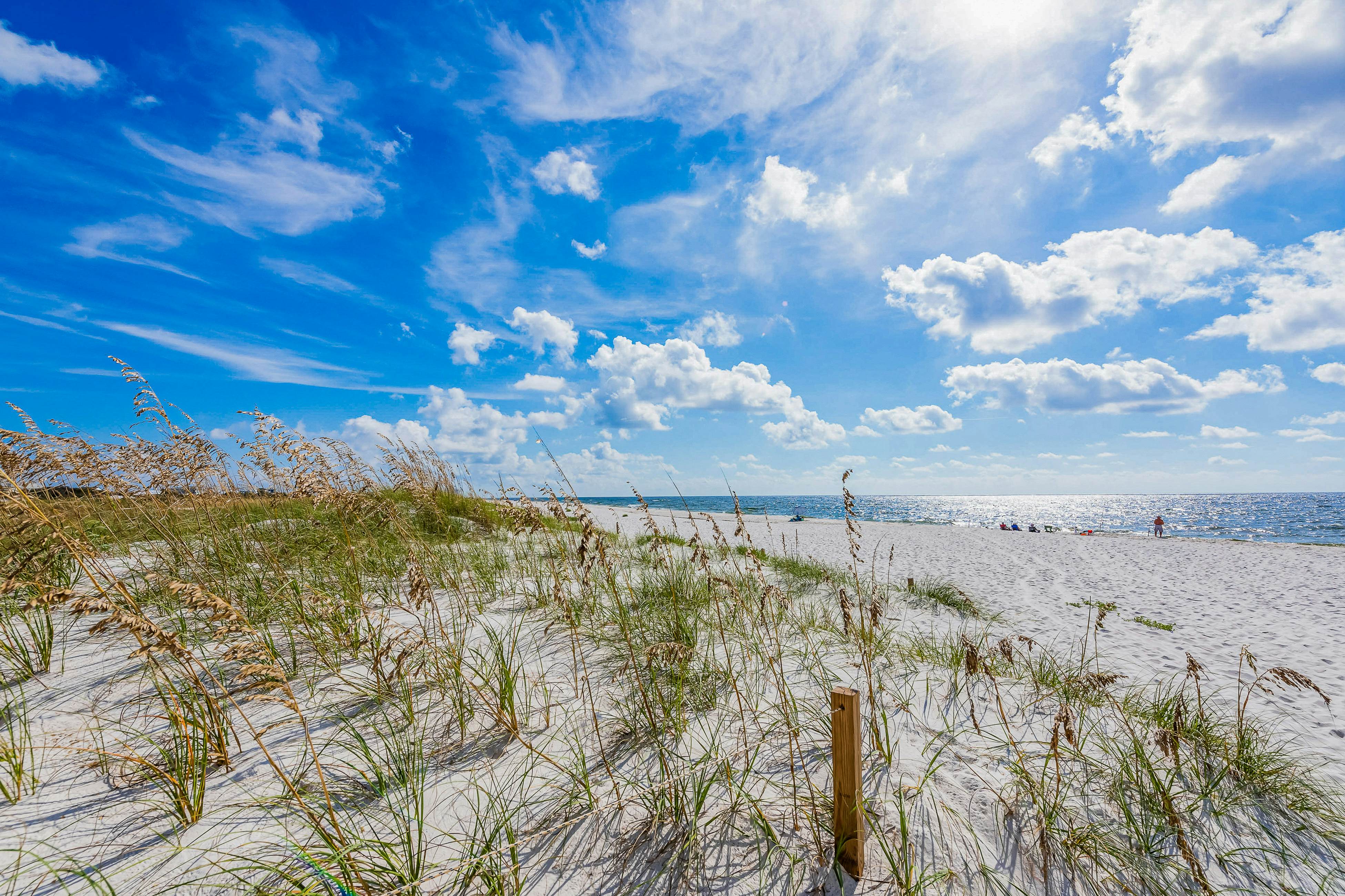 The Pensacola Sanctuary