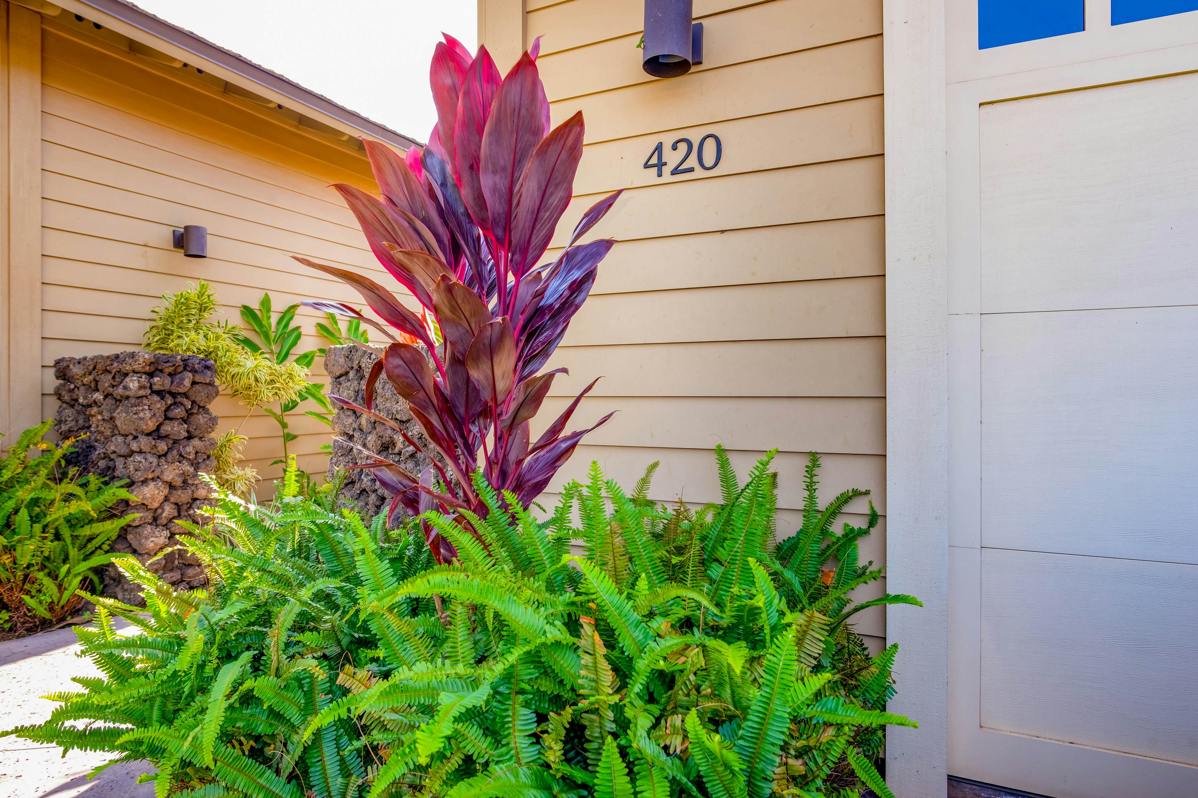 Mauna Lani Maluhia #420