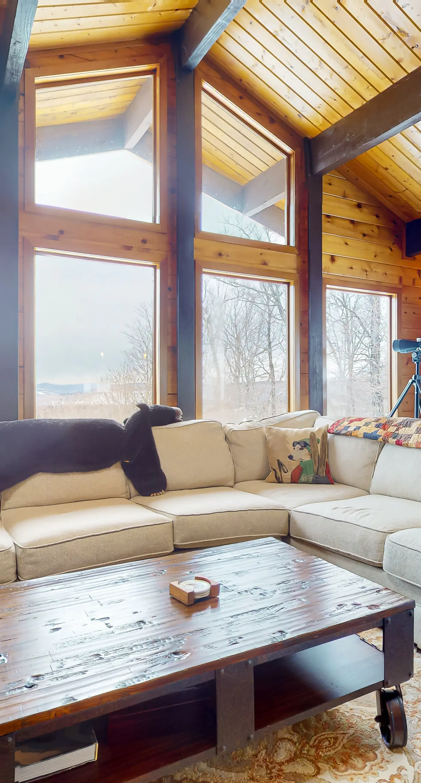 Mountain View Chalet