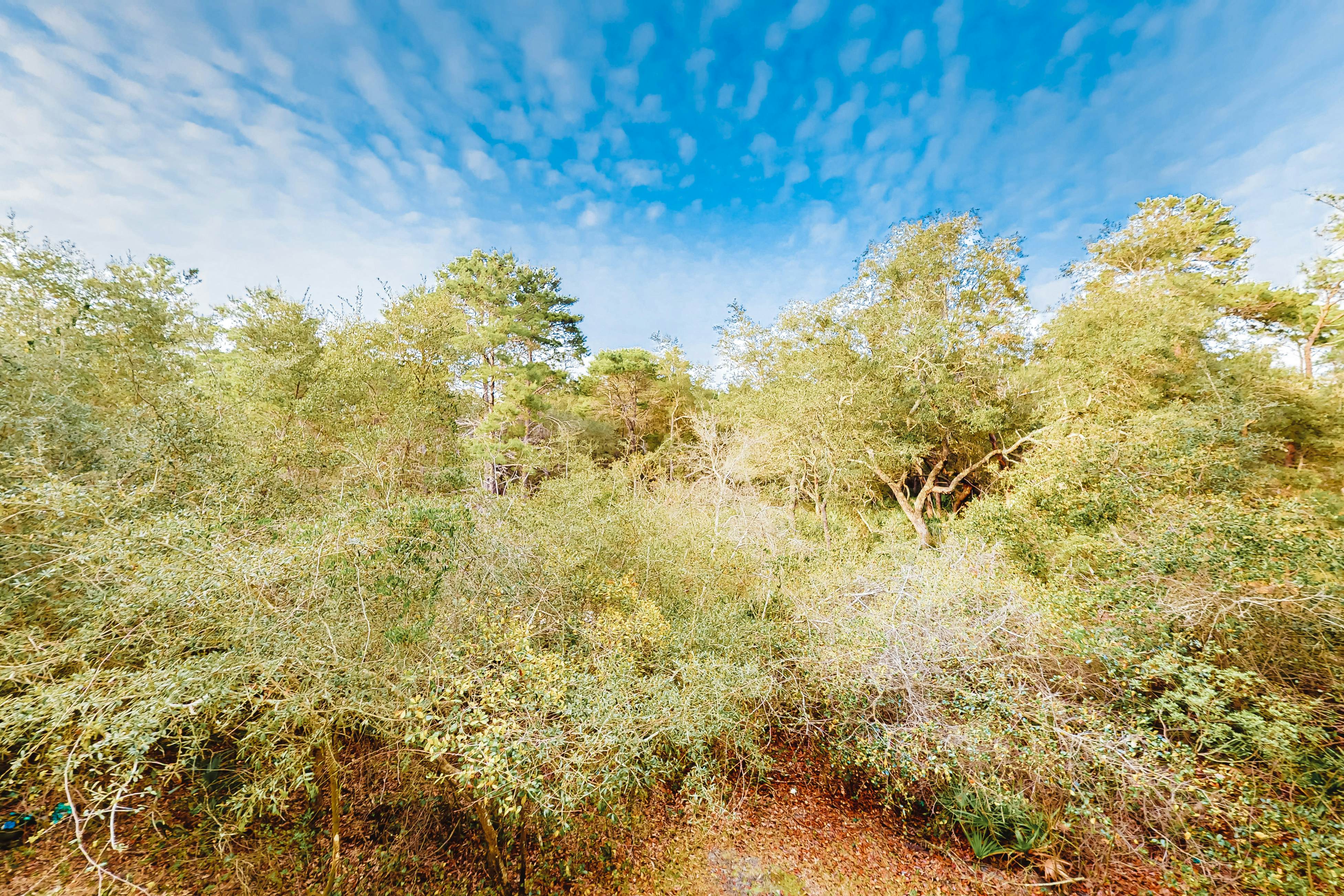 Herons Watch Way 1201