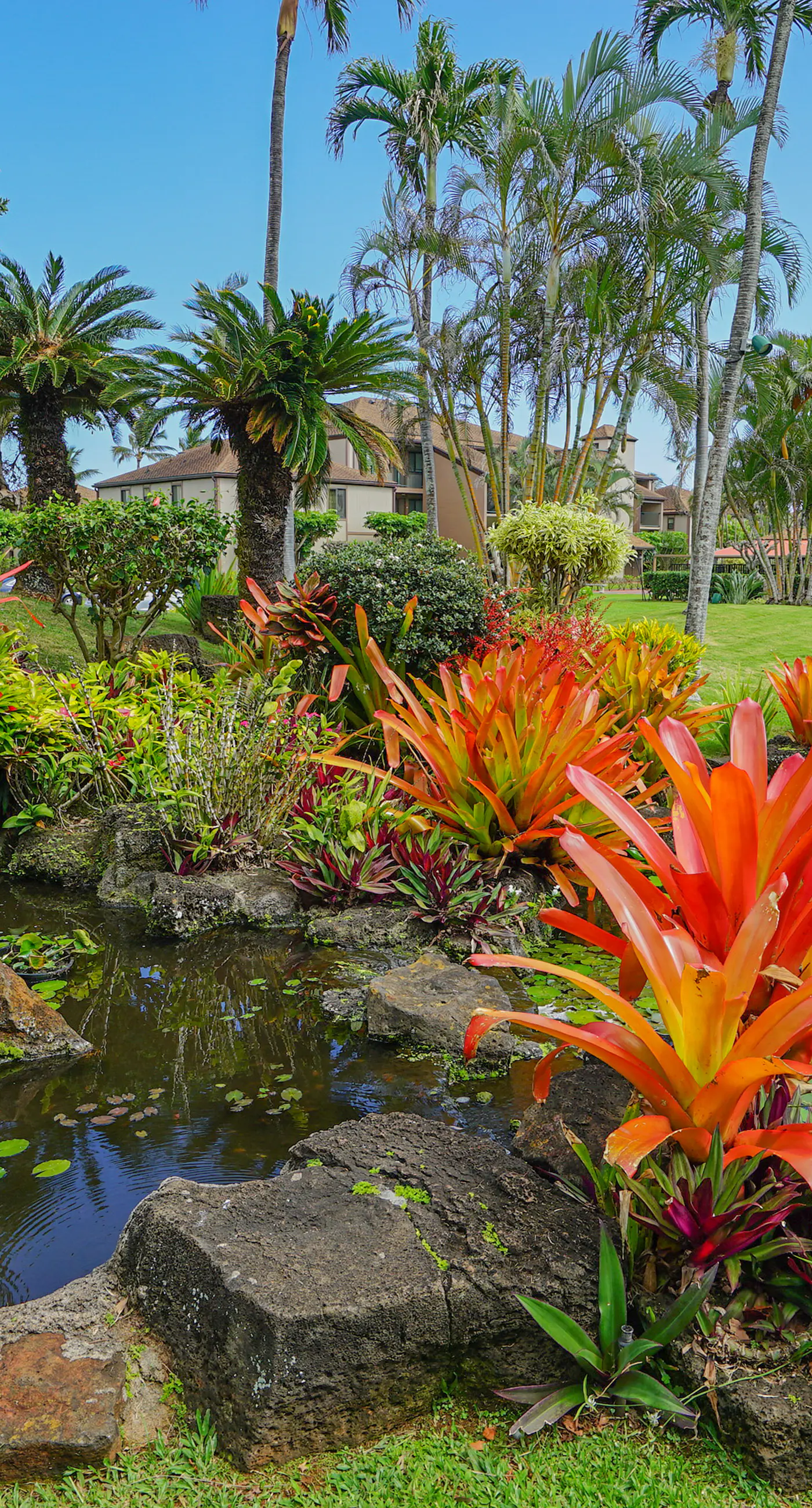 Pono Kai Resort B208