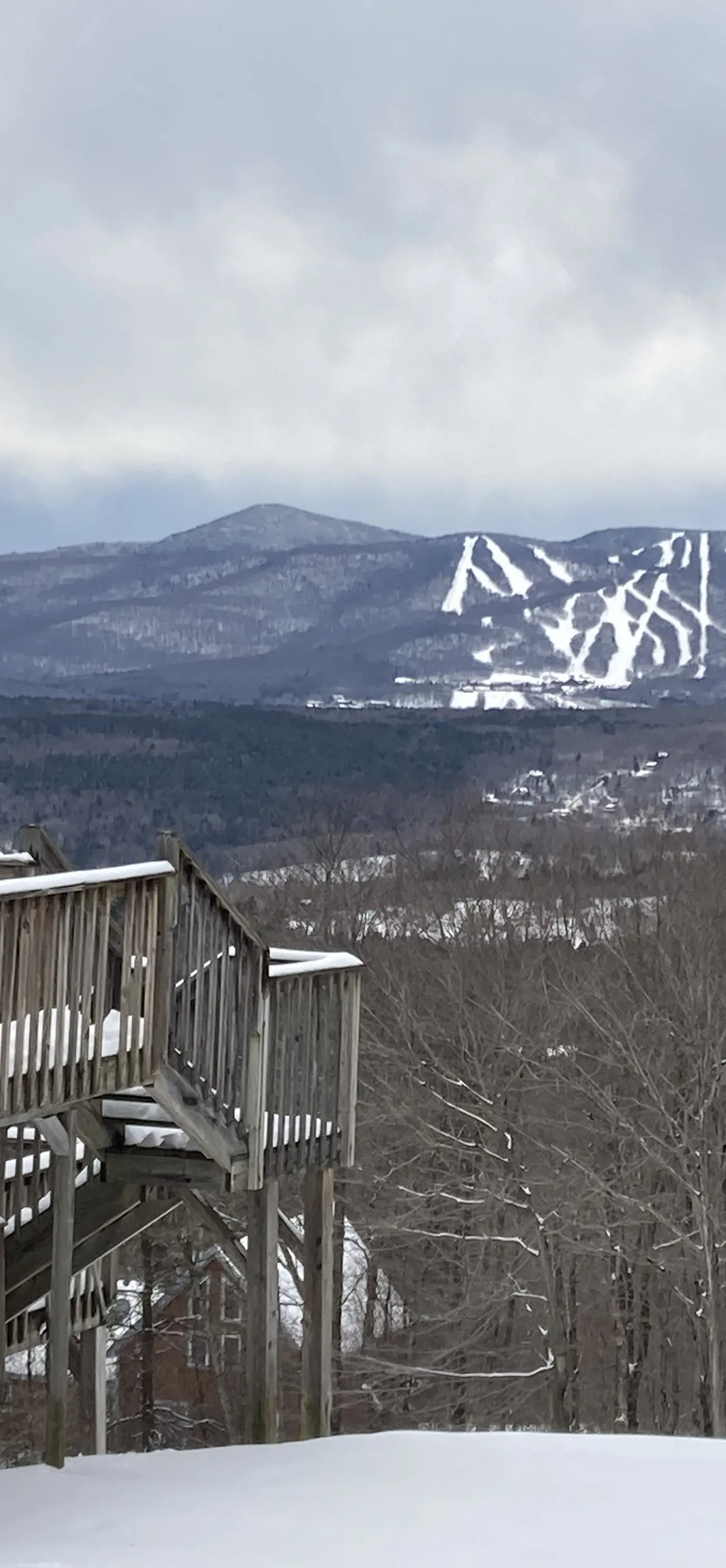 Mountain View Chalet