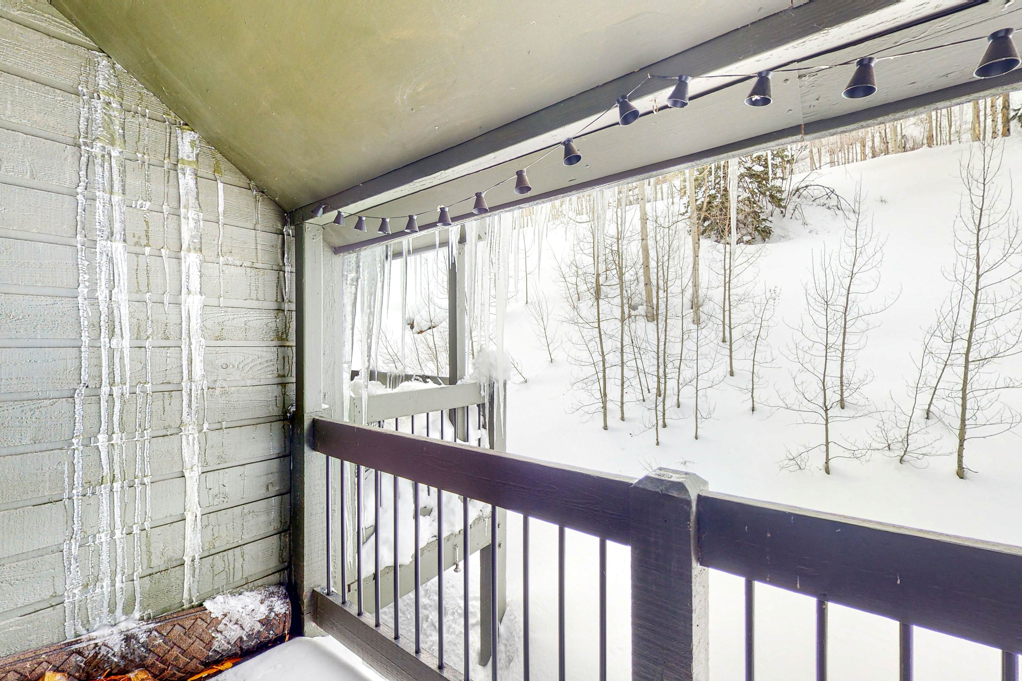 Durango Dreaming 311