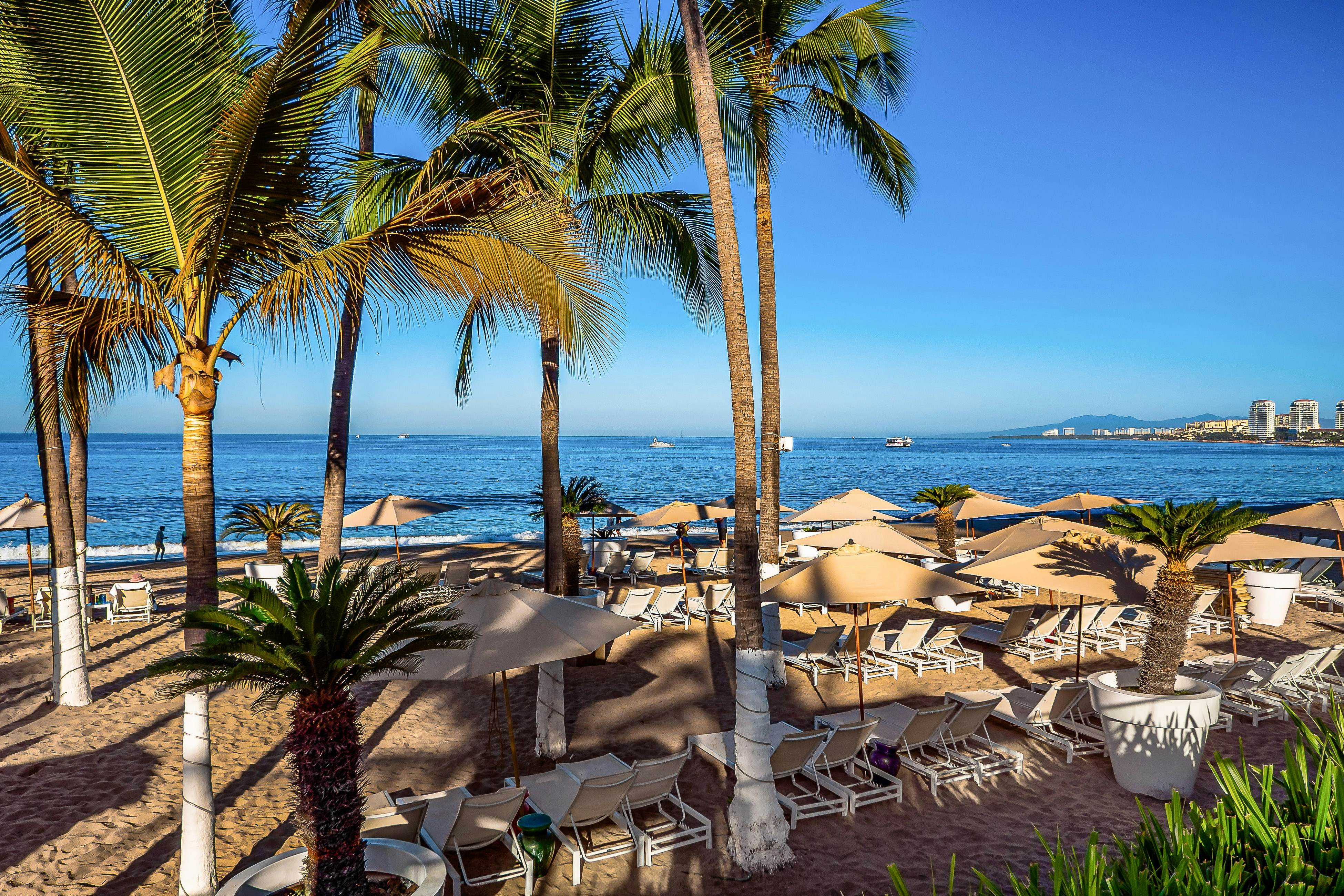 Seize The Sun, 1-1505