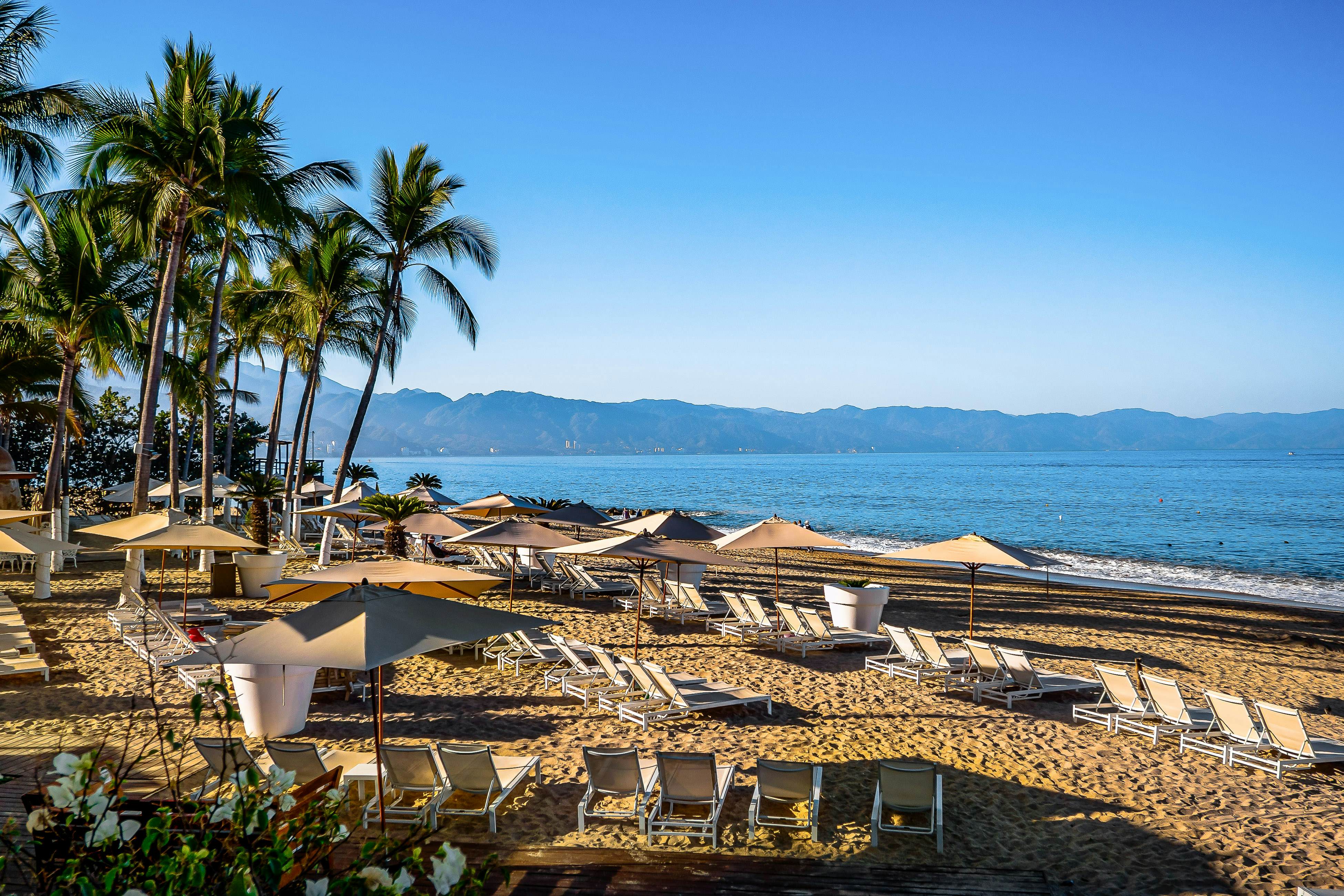 Seize The Sun, 1-1505