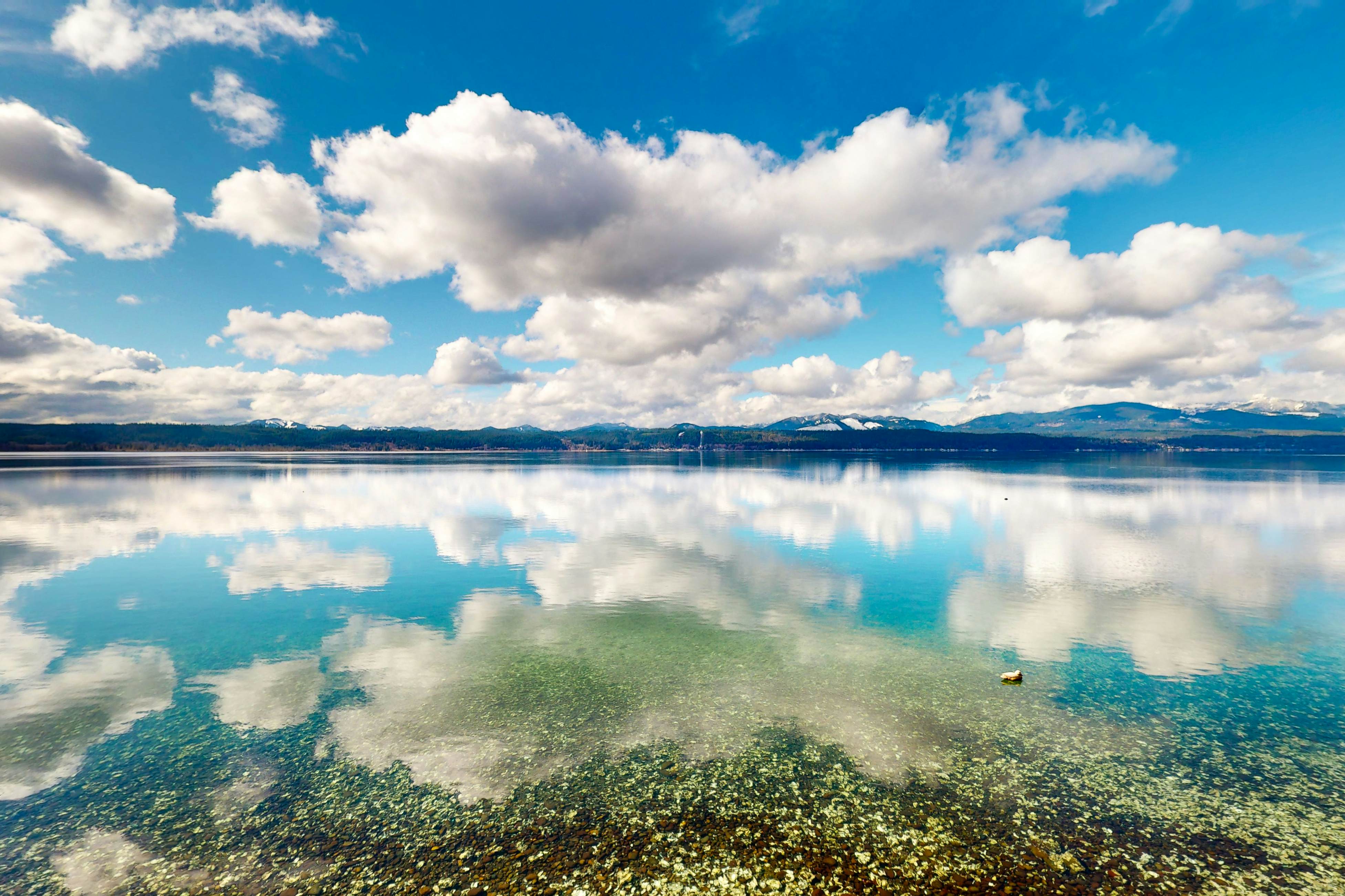 Hood Canal Historic Hideaway 2 BD Union, WA Vacation Rental Vacasa