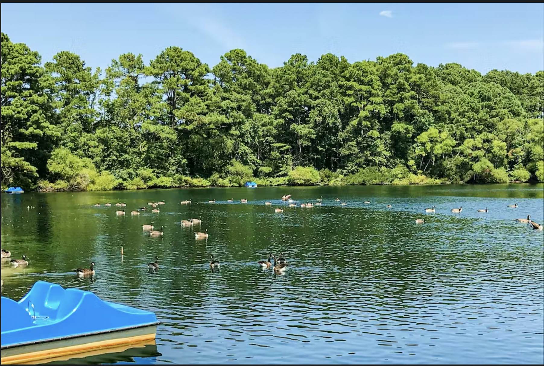 Assateague Pointe - 12401 Windlass Way