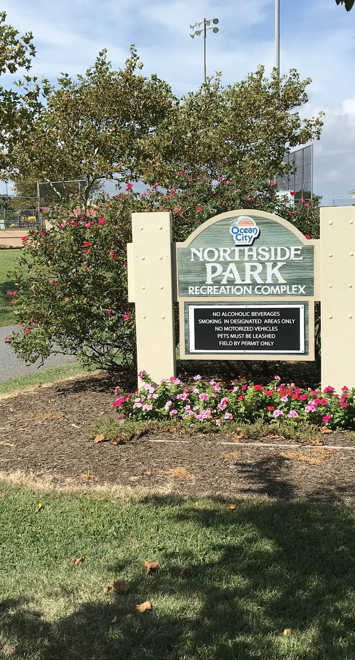 Fountainhead Towers 1004